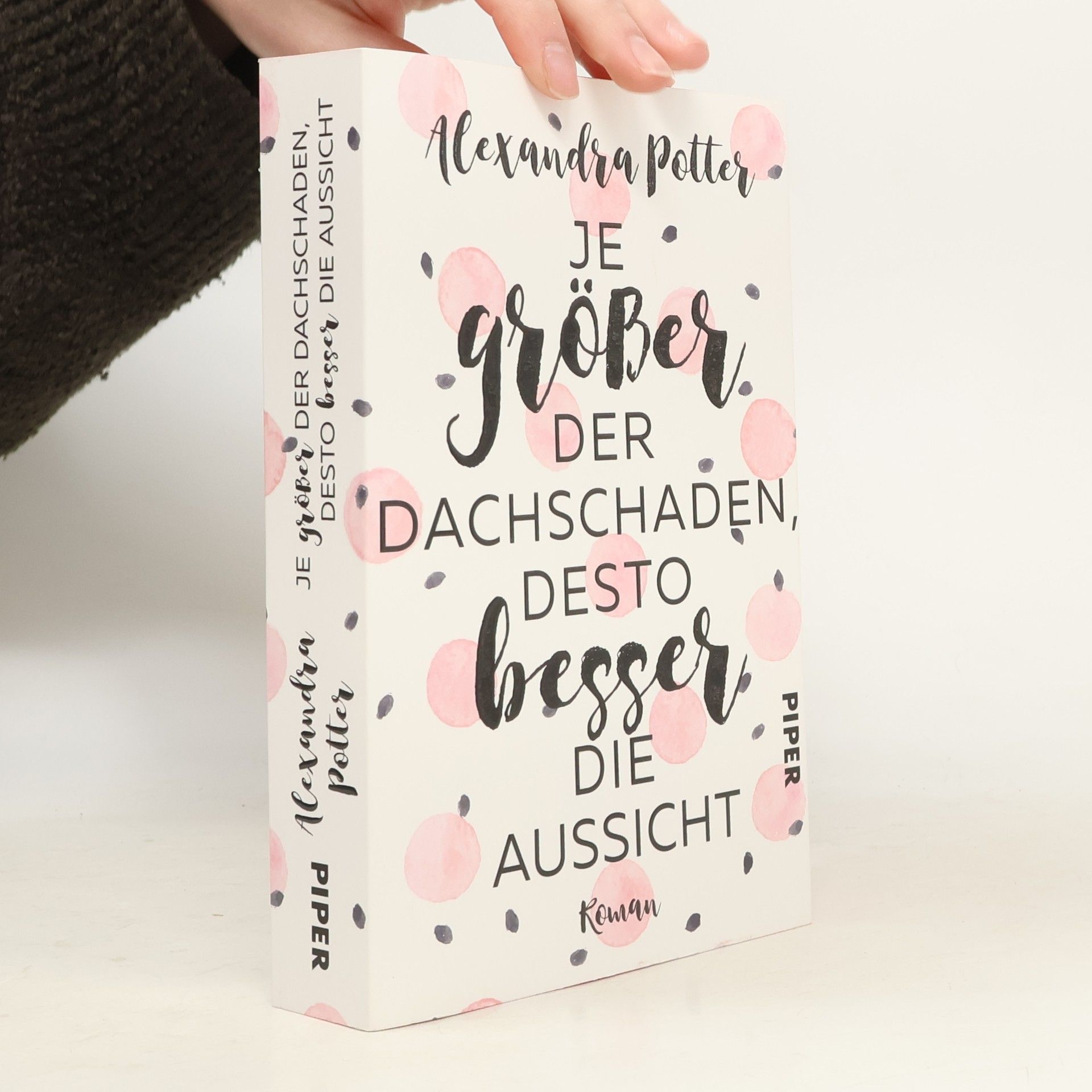 Alexandra Potter Je größer der Dachschaden, desto besser die Aussicht