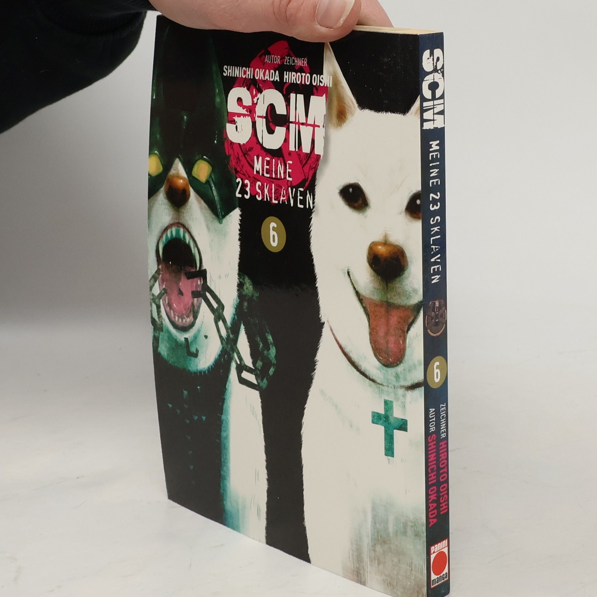 Shin ichi Okada SCM 6