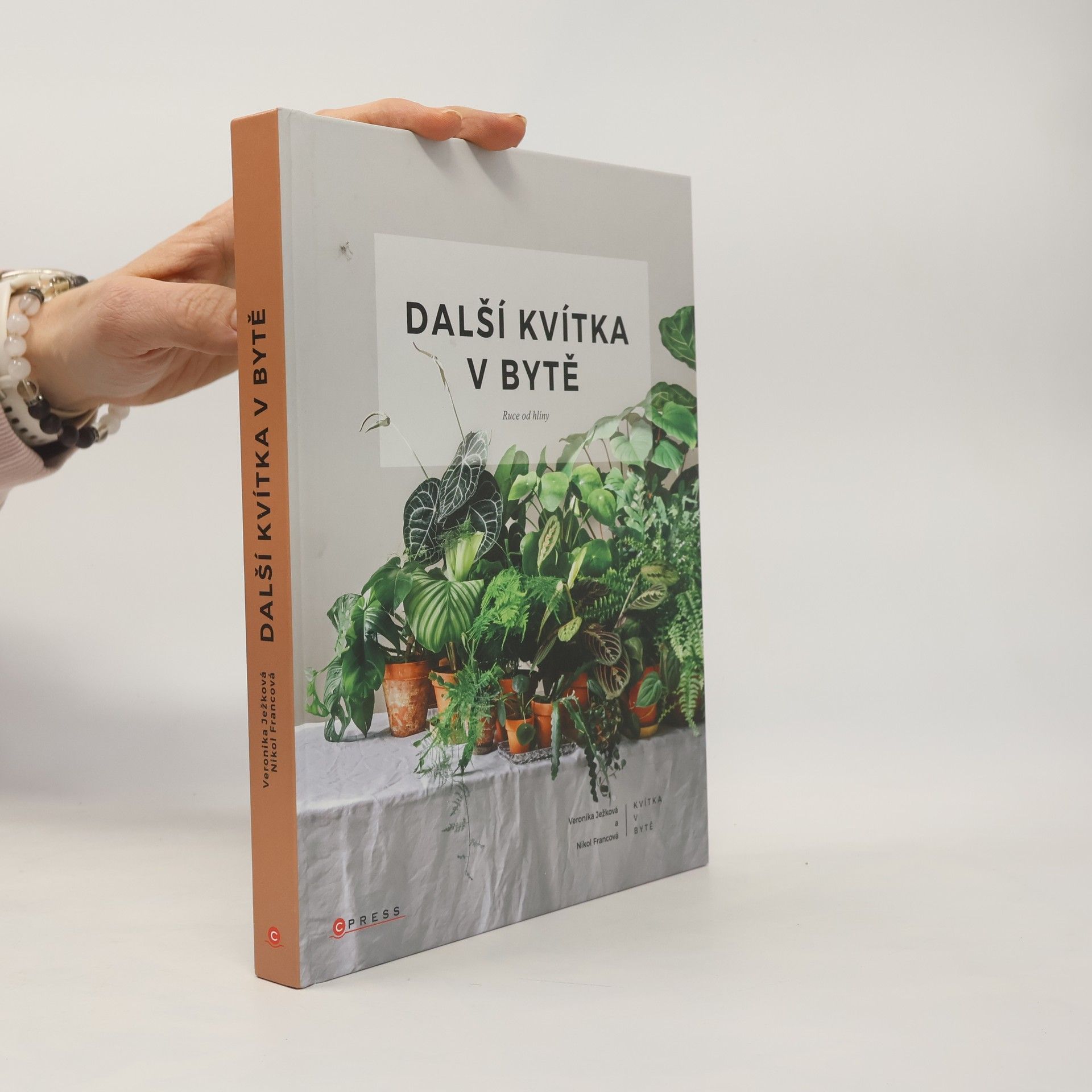 Nikol Francová Další kvítka v bytě : Ruce od hlíny