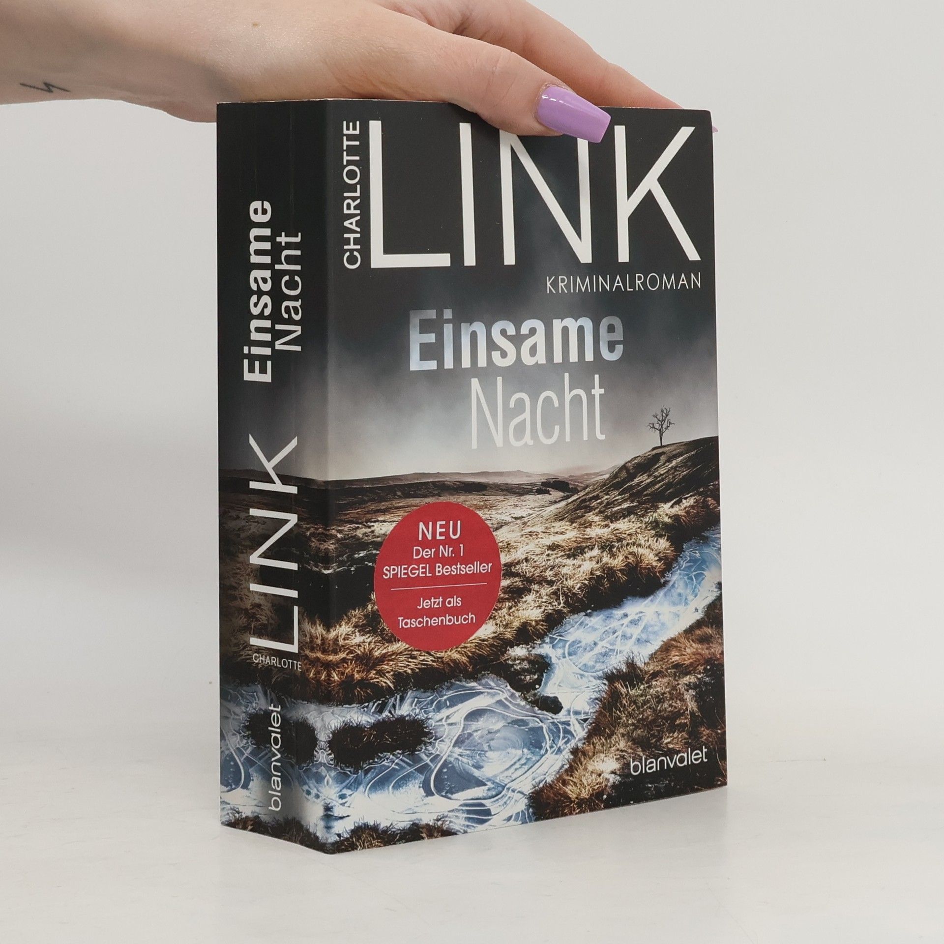 Charlotte Link Einsame Nacht