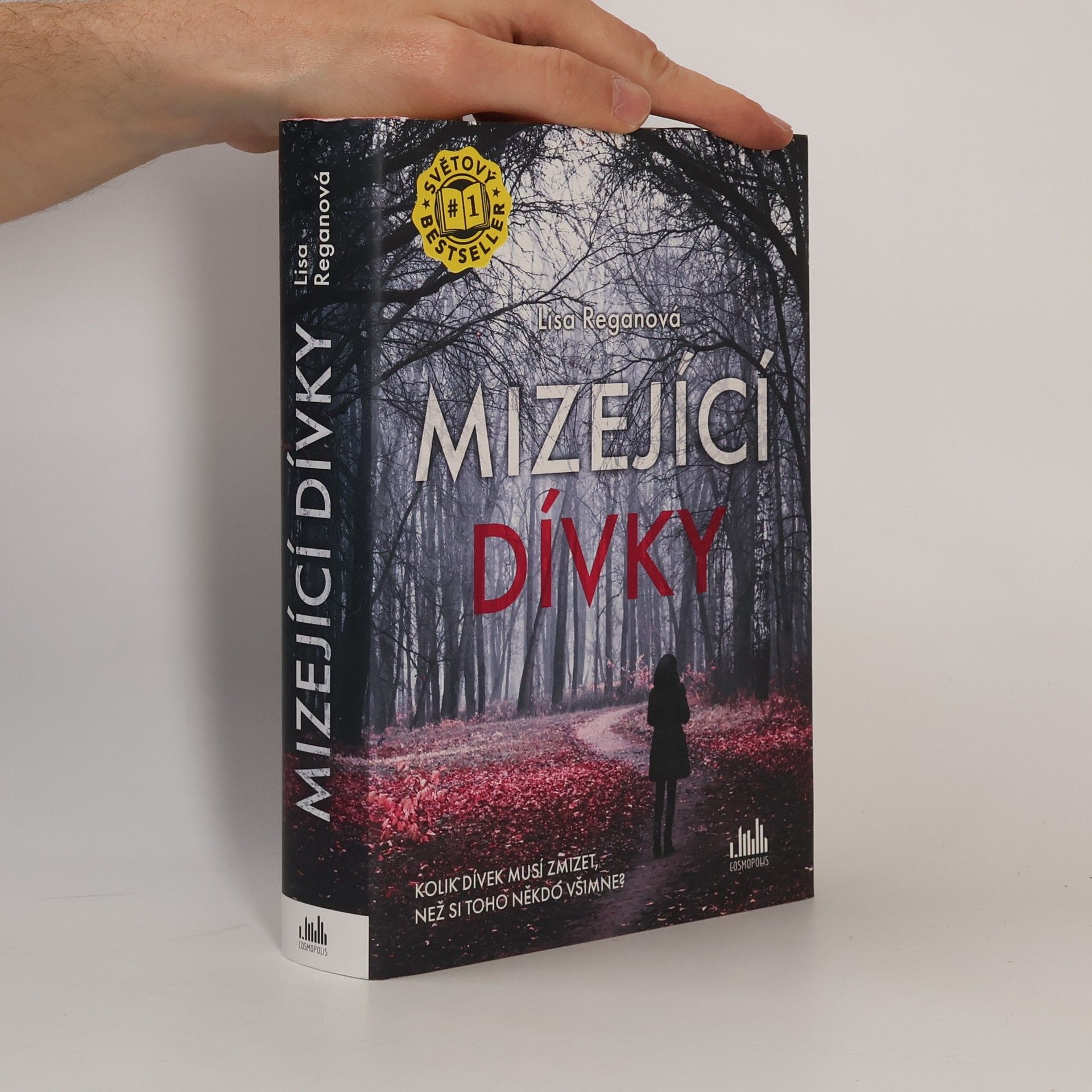 Lisa Regan Mizející dívky