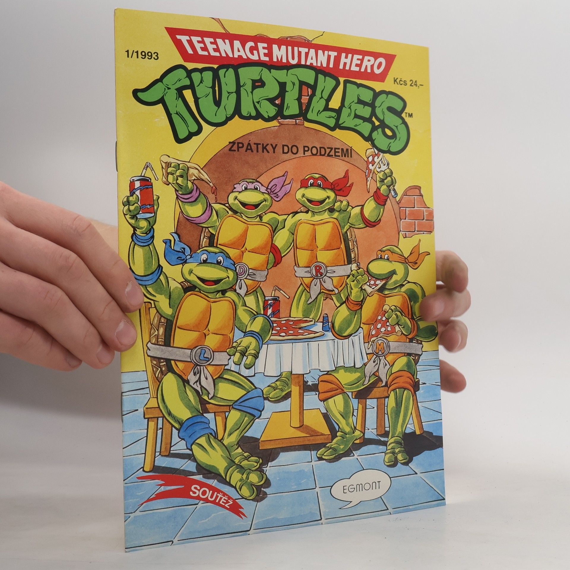Teenage Mutant Hero Turtles #13