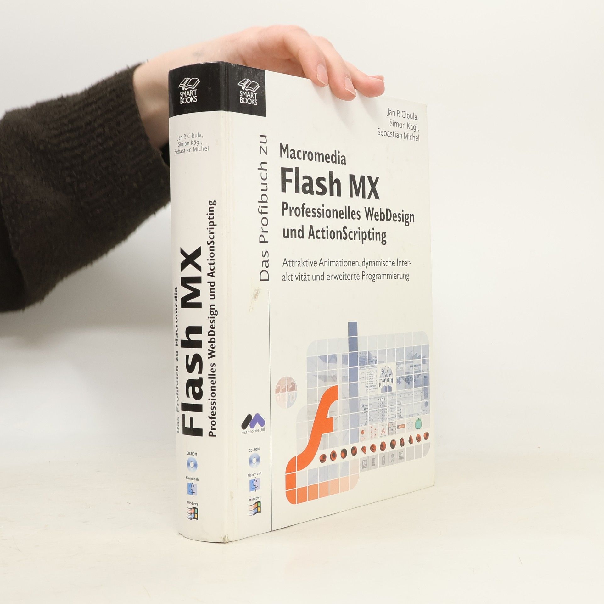 Simon Kägi Das Profibuch zu Macromedia Flash MX und ActionScript