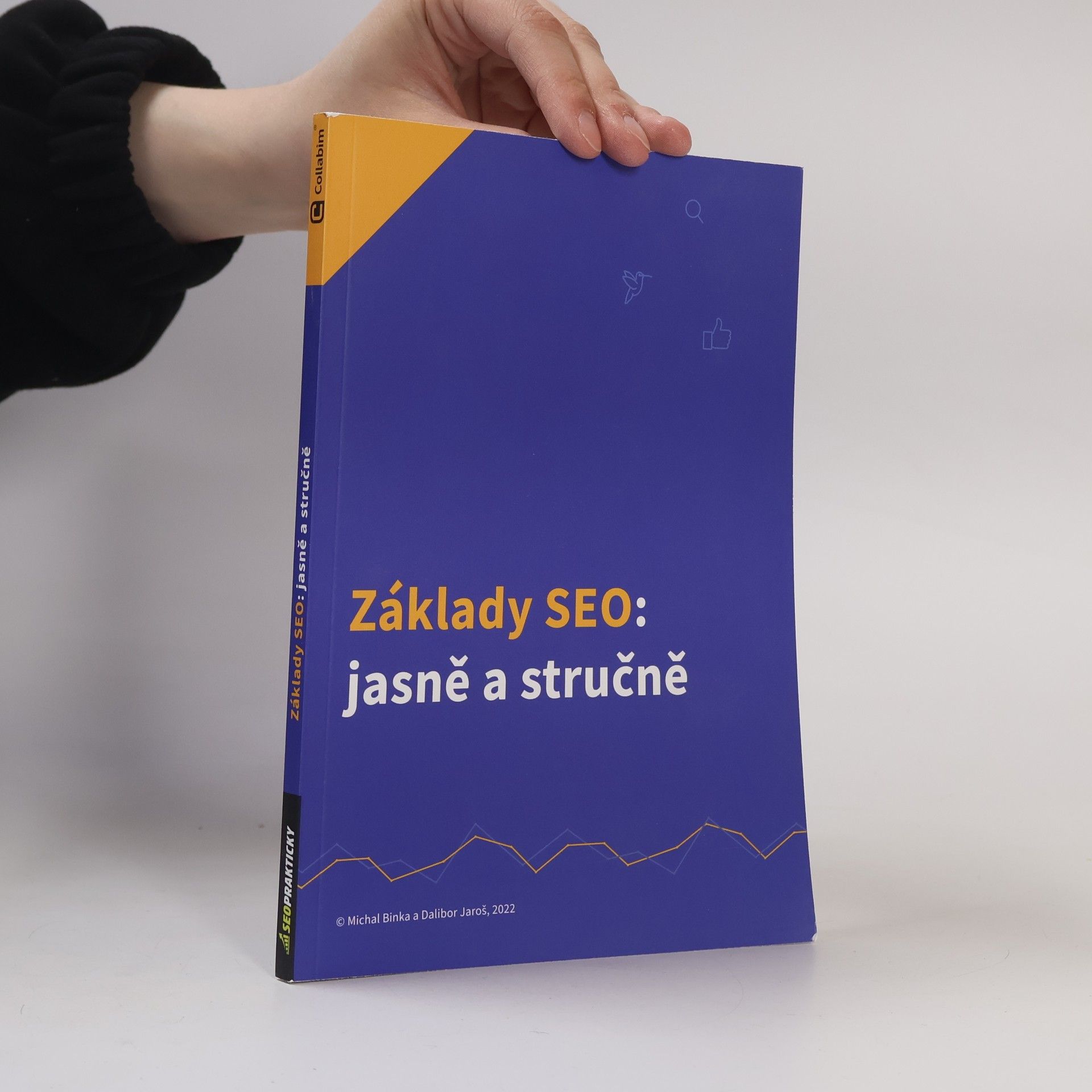 Dalibor Jaroš Základy SEO: Jasně a stručně