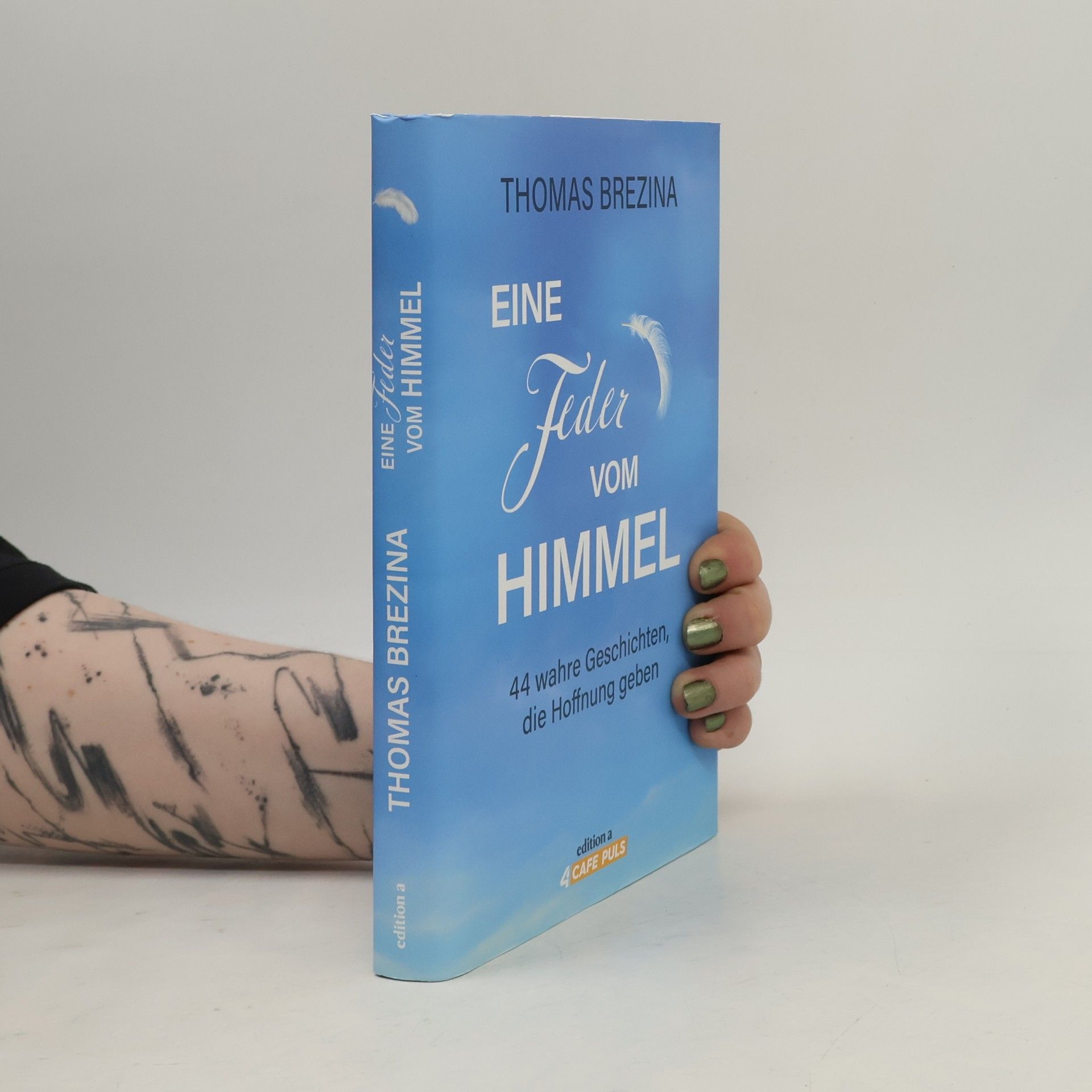 Thomas Brezina Eine Feder vom Himmel