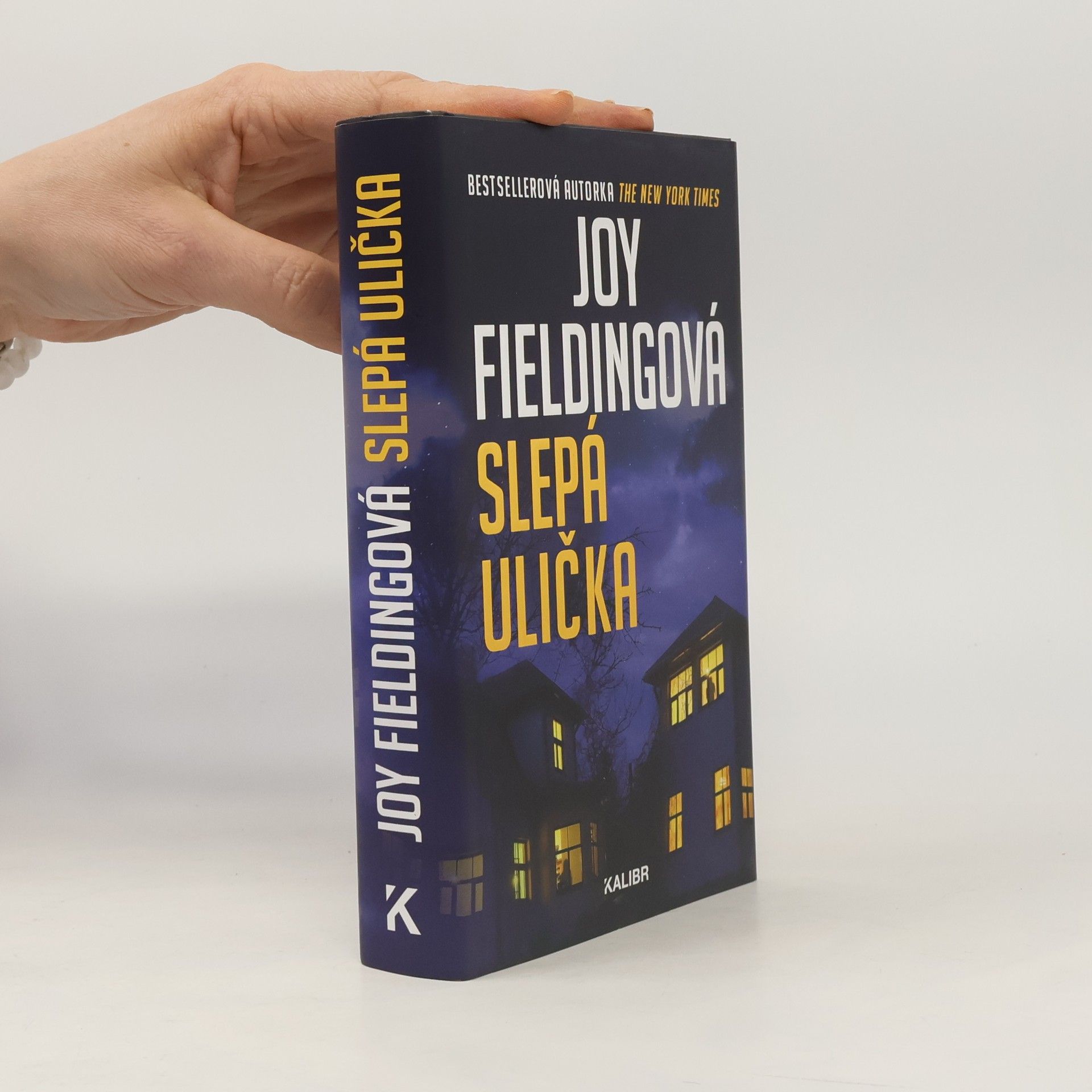 Joy Fielding Slepá ulička