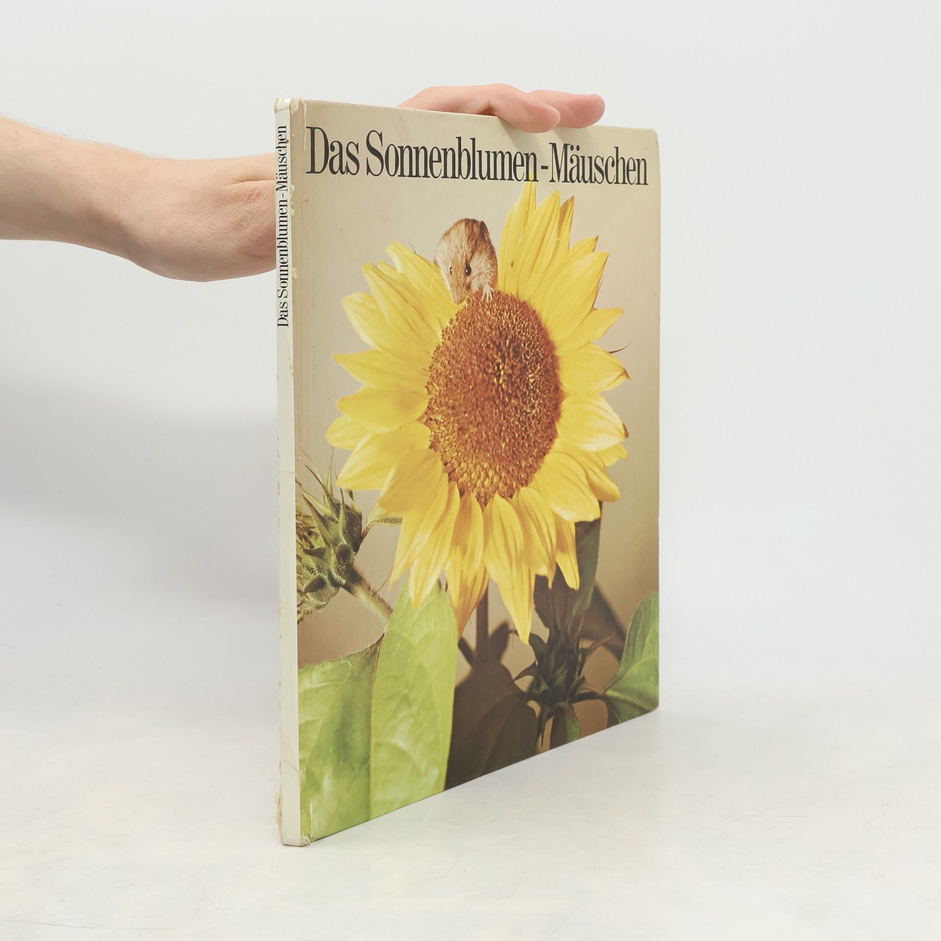 Thomas Ulrich Das Sonnenblumen-Mäuschen