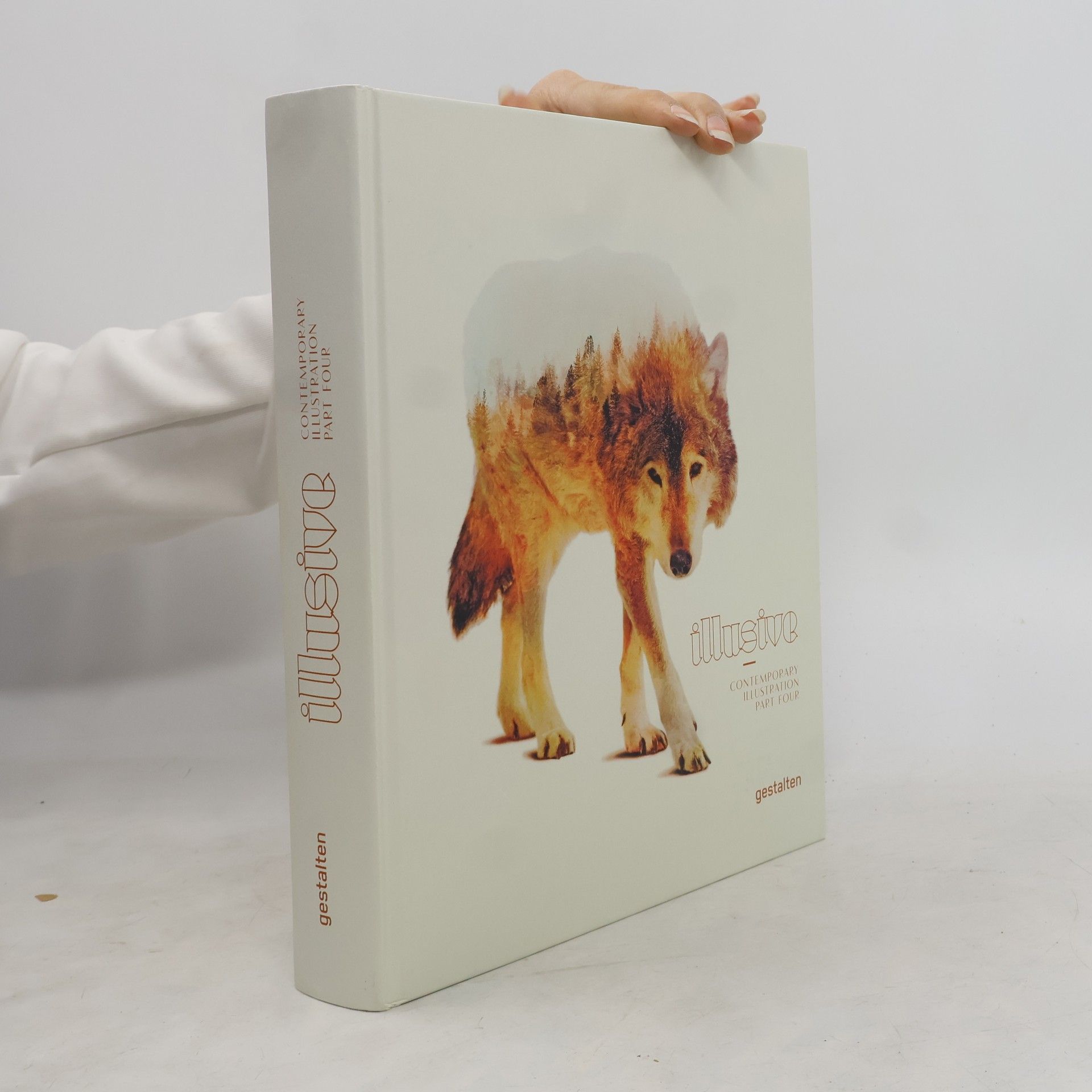 Kolektív autorov Illusive 4