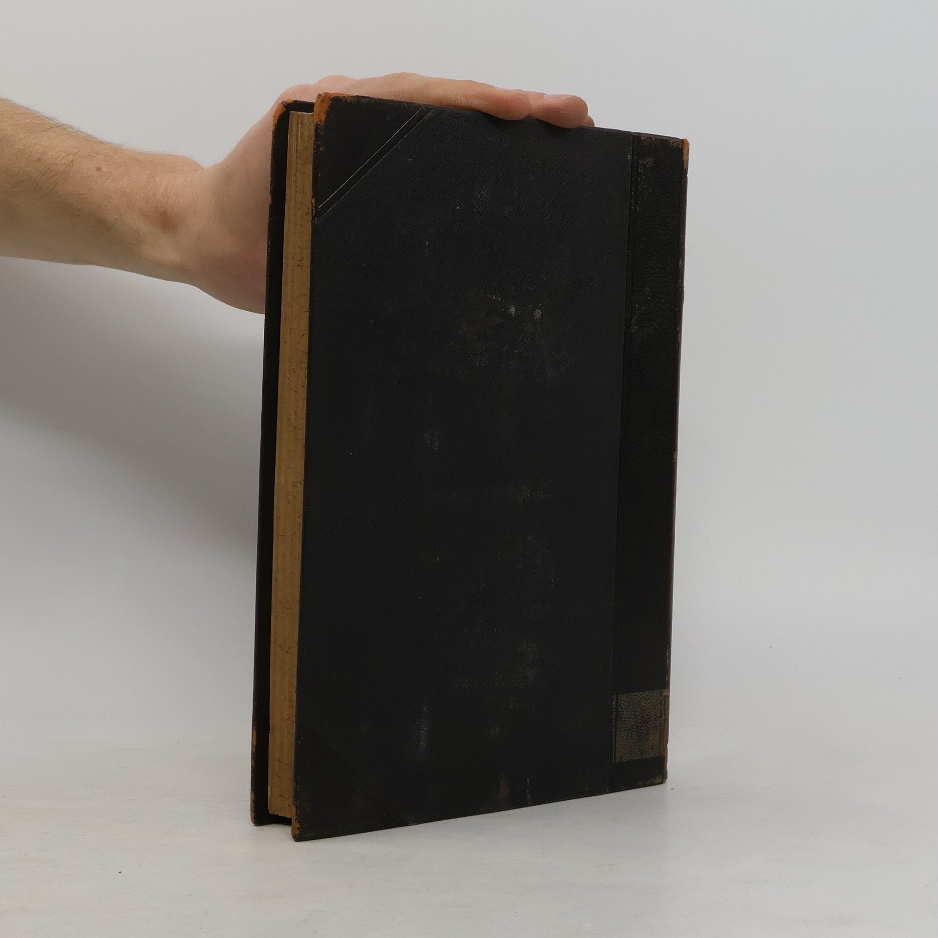 Martino Hagen Lexicon Biblicum II D-L