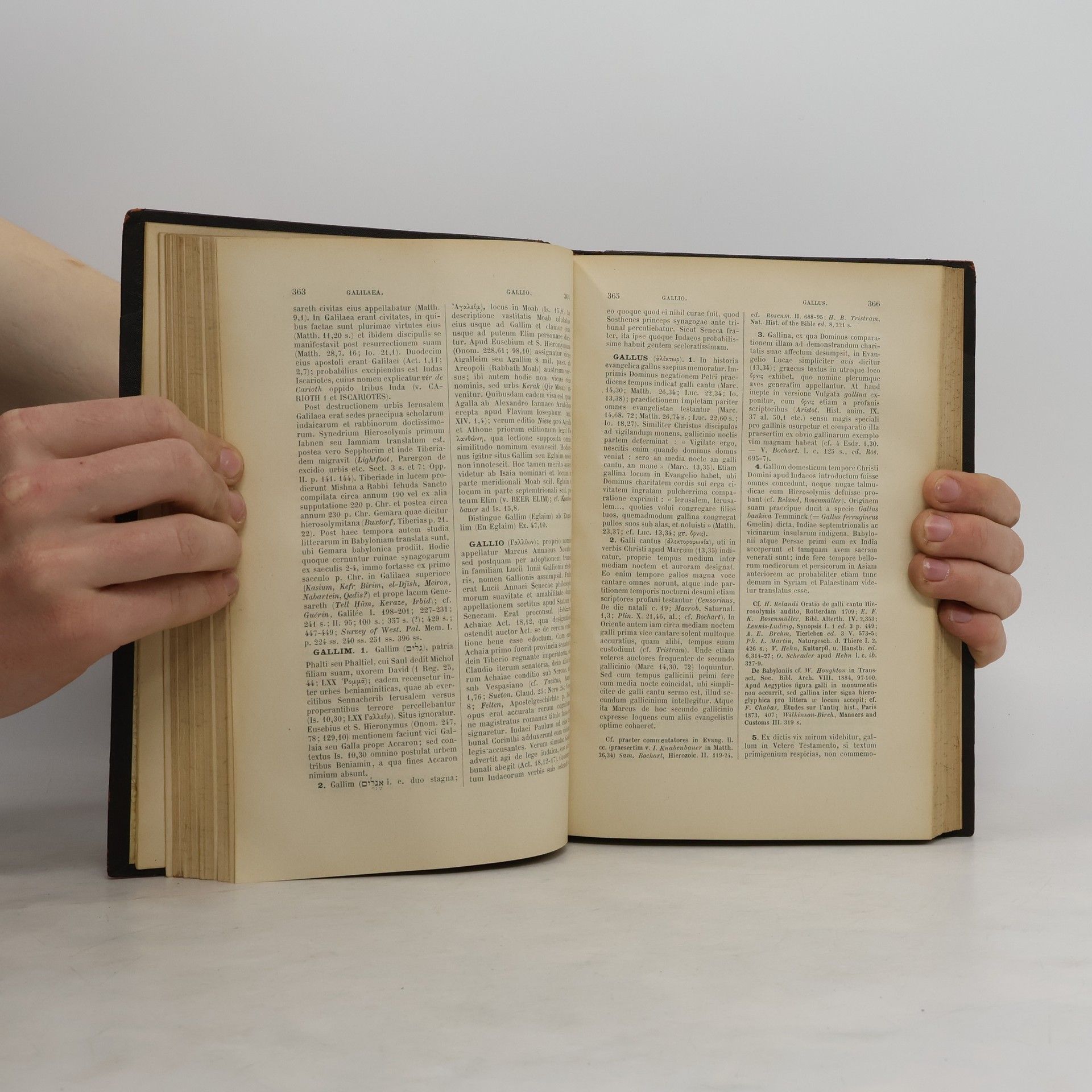 Martino Hagen Lexicon Biblicum II D-L