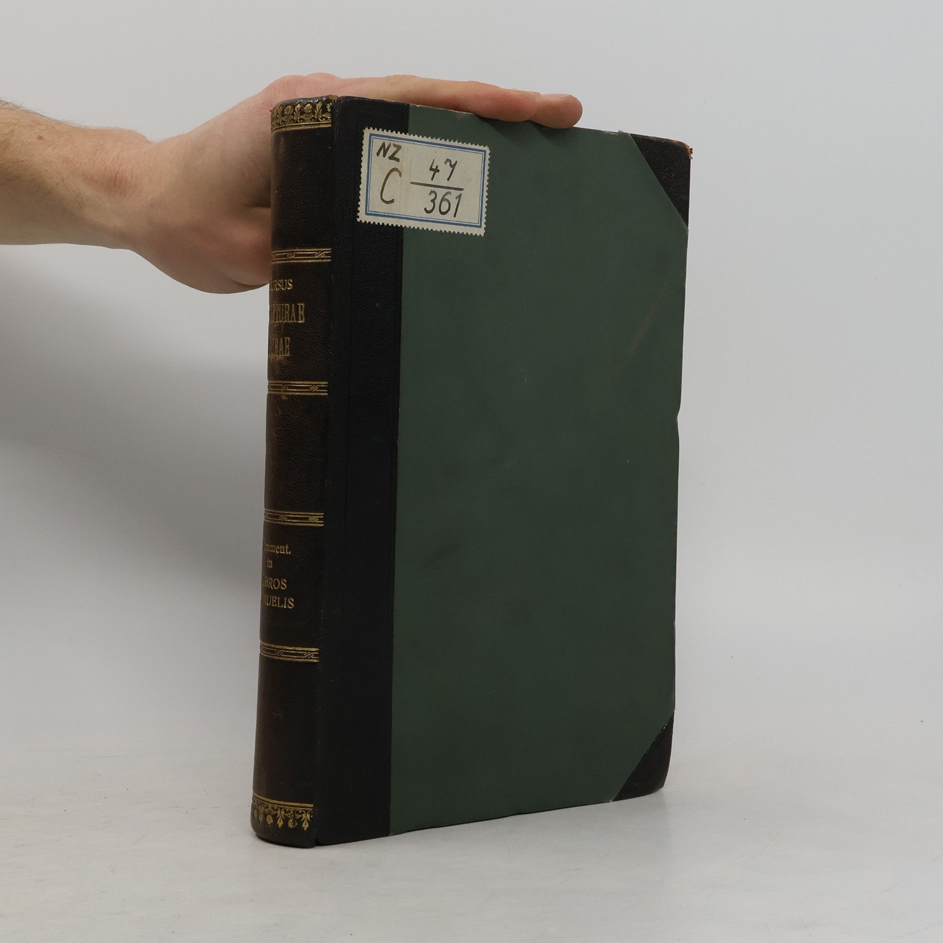 Commentarius in libros Samuelis