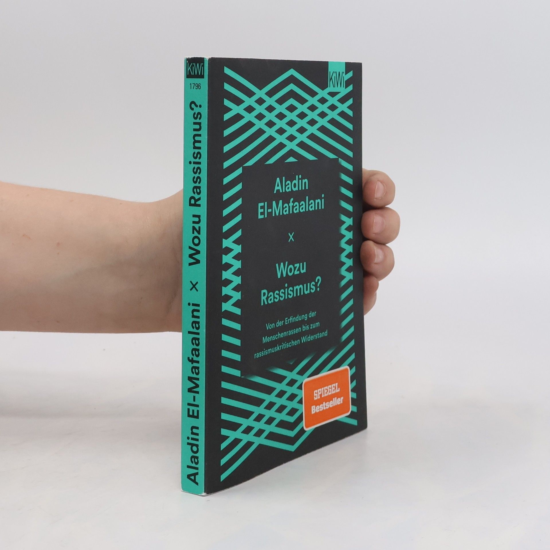 Aladin El-Mafaalani Wozu Rassismus?