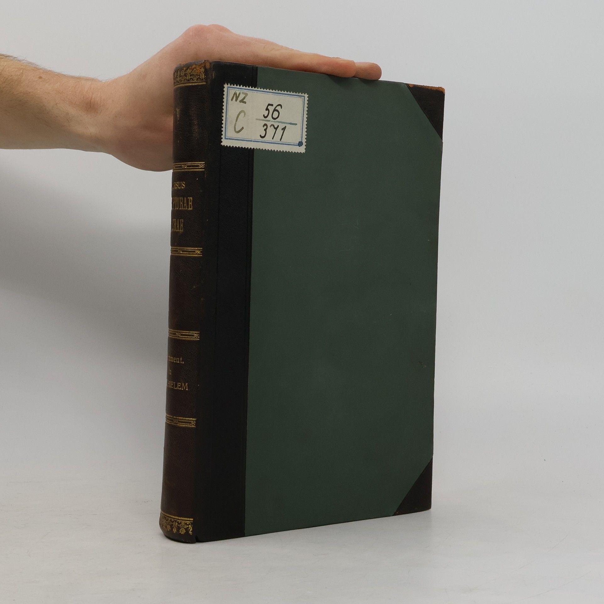 Joseph Knabenbauer Commentarius in Ezechielem Prophetam