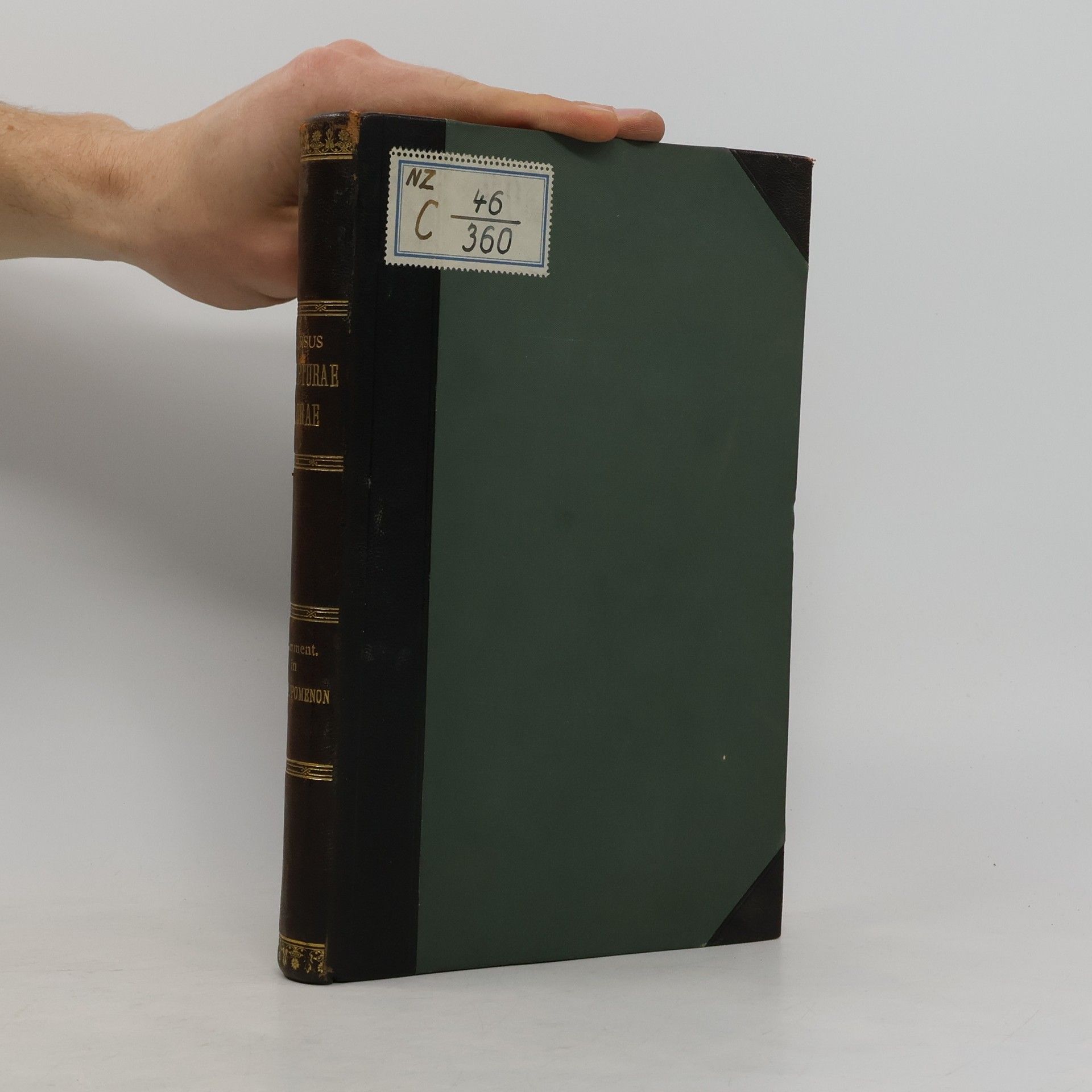 Commentarius in Librum Primum Paralipomenon