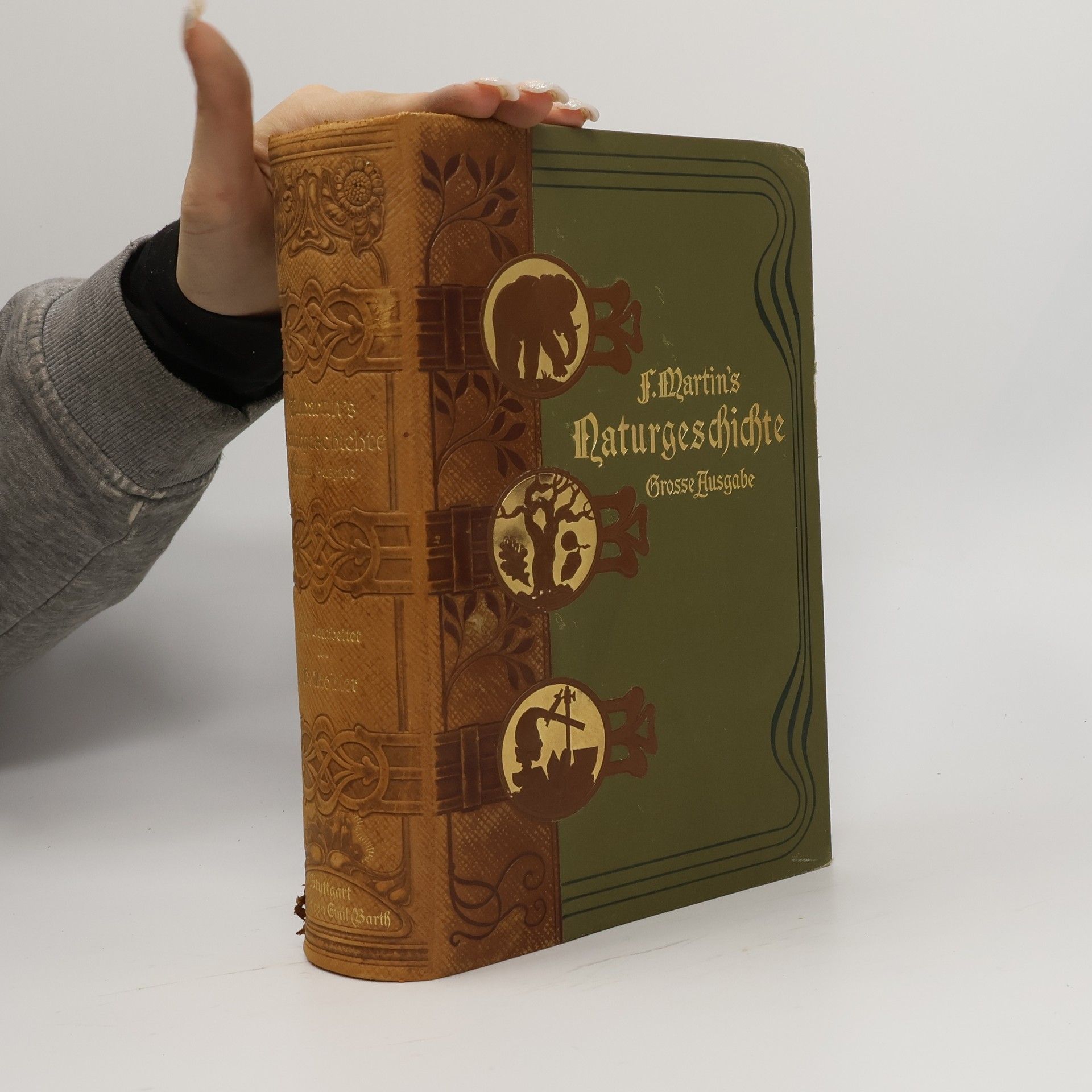 M. Köhler Naturgeschichte