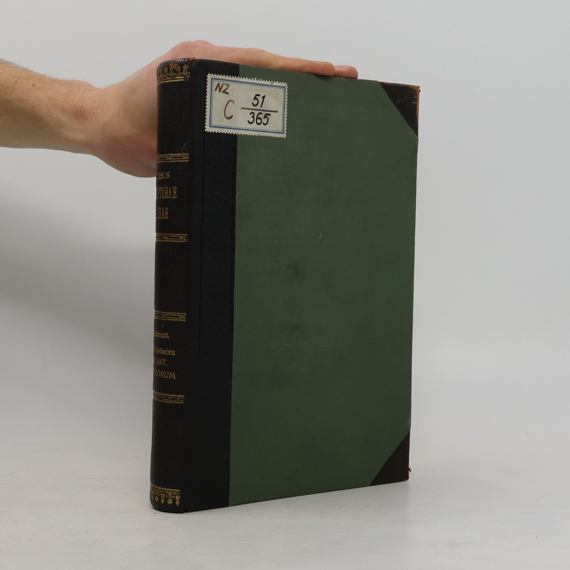 Gerardo Gietmann Commentarius in Ecclesiasten et Canticum Canticorum. Cursus Scripturae Sacrae