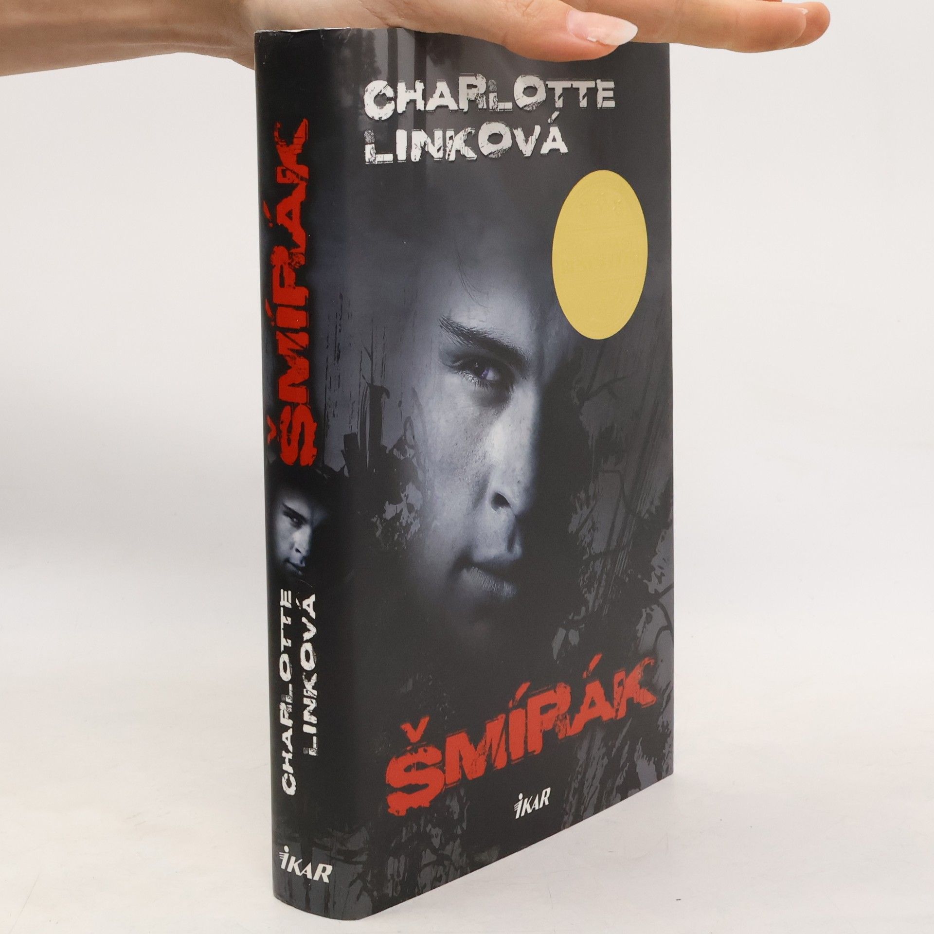 Charlotte Link Šmírák