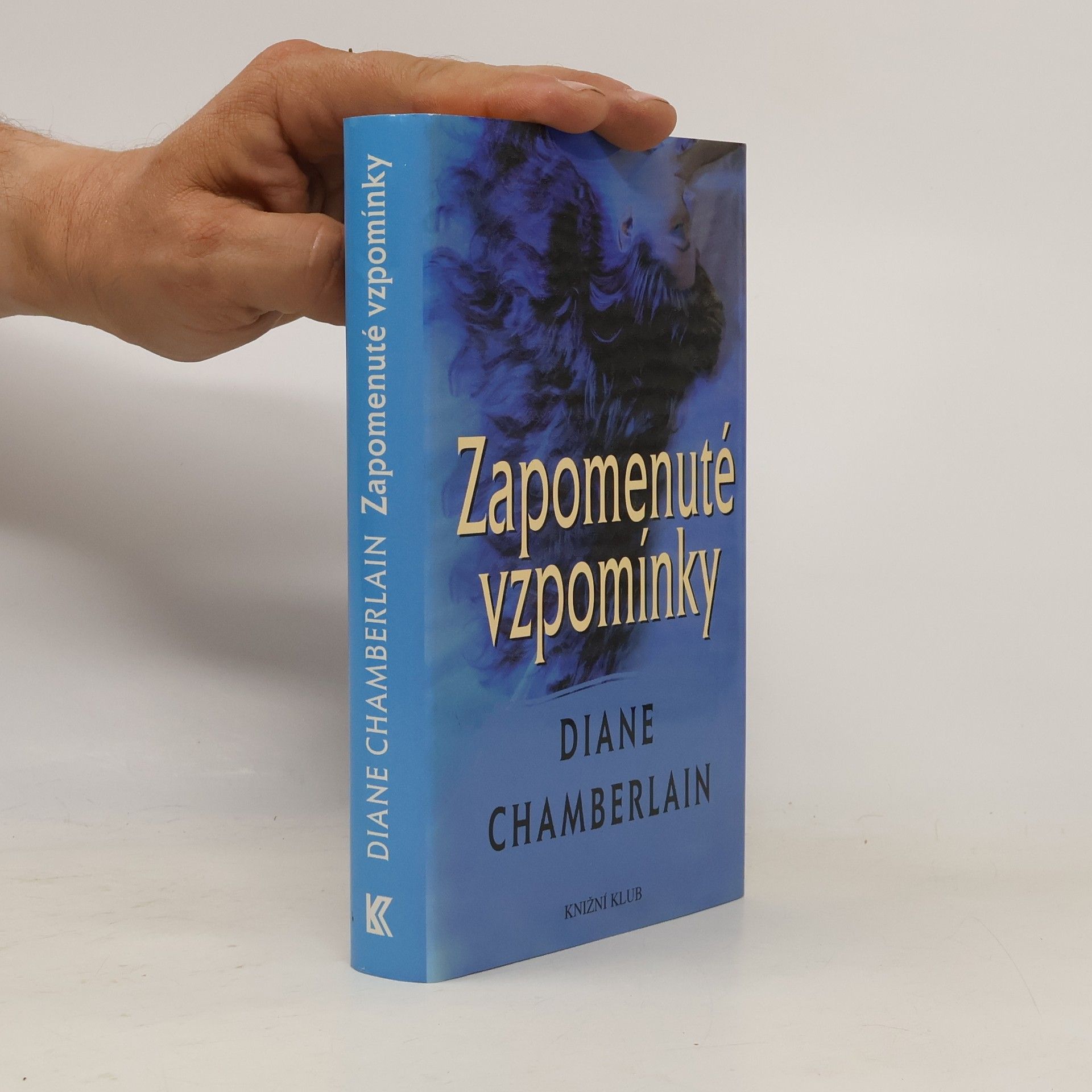 Diane Chamberlain Zapomenuté vzpomínky
