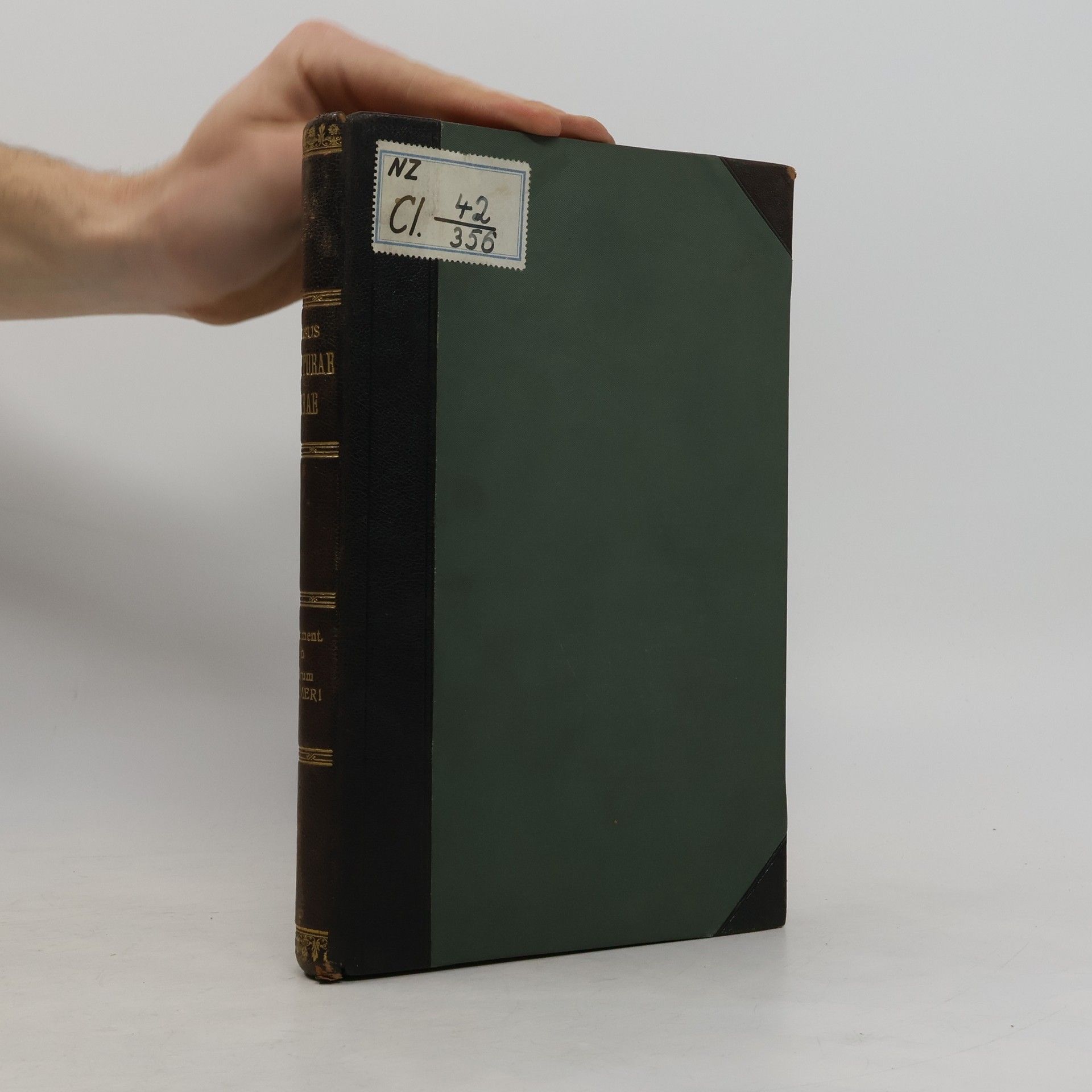 Commentarius in Numeros