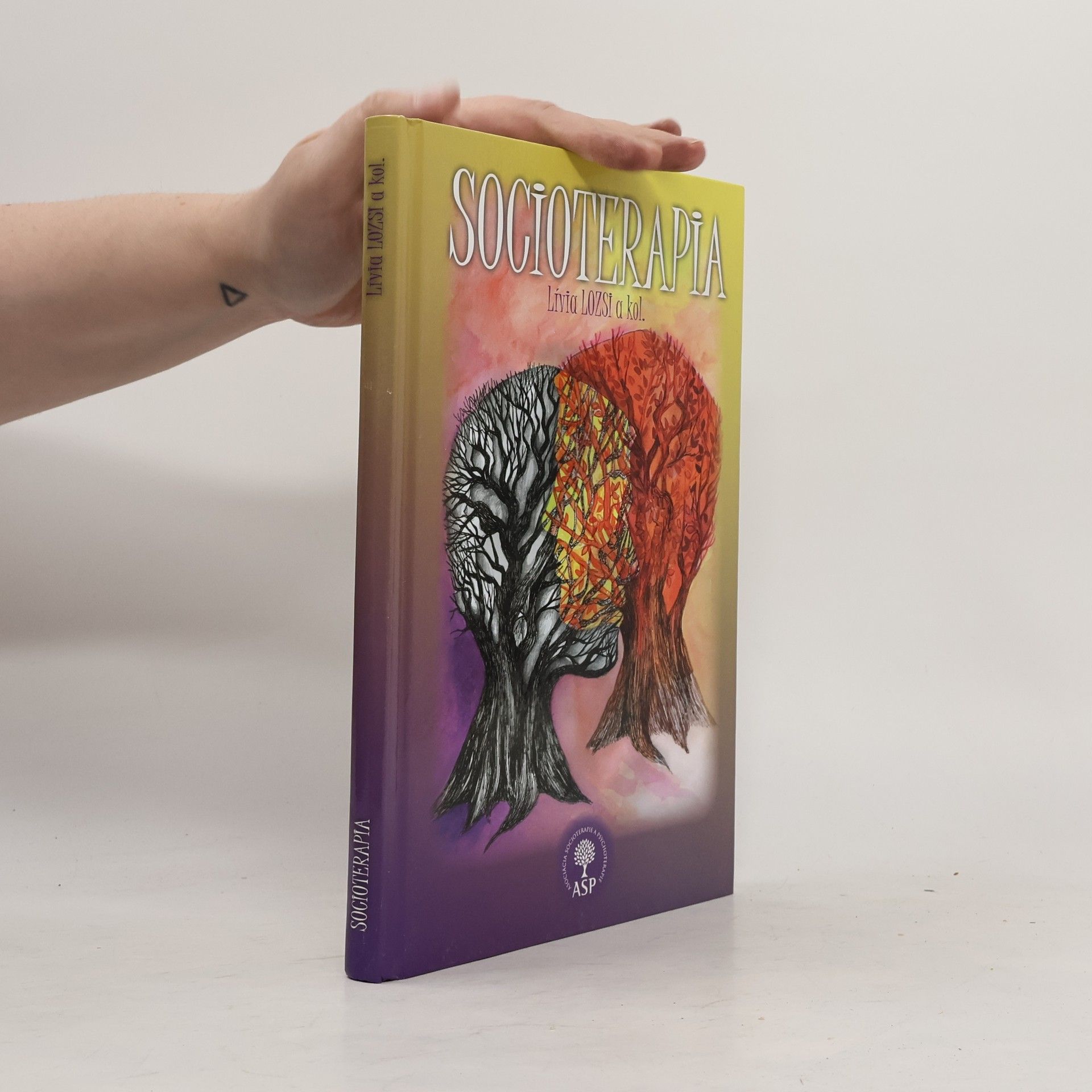 Lívia Lozsi Socioterapia