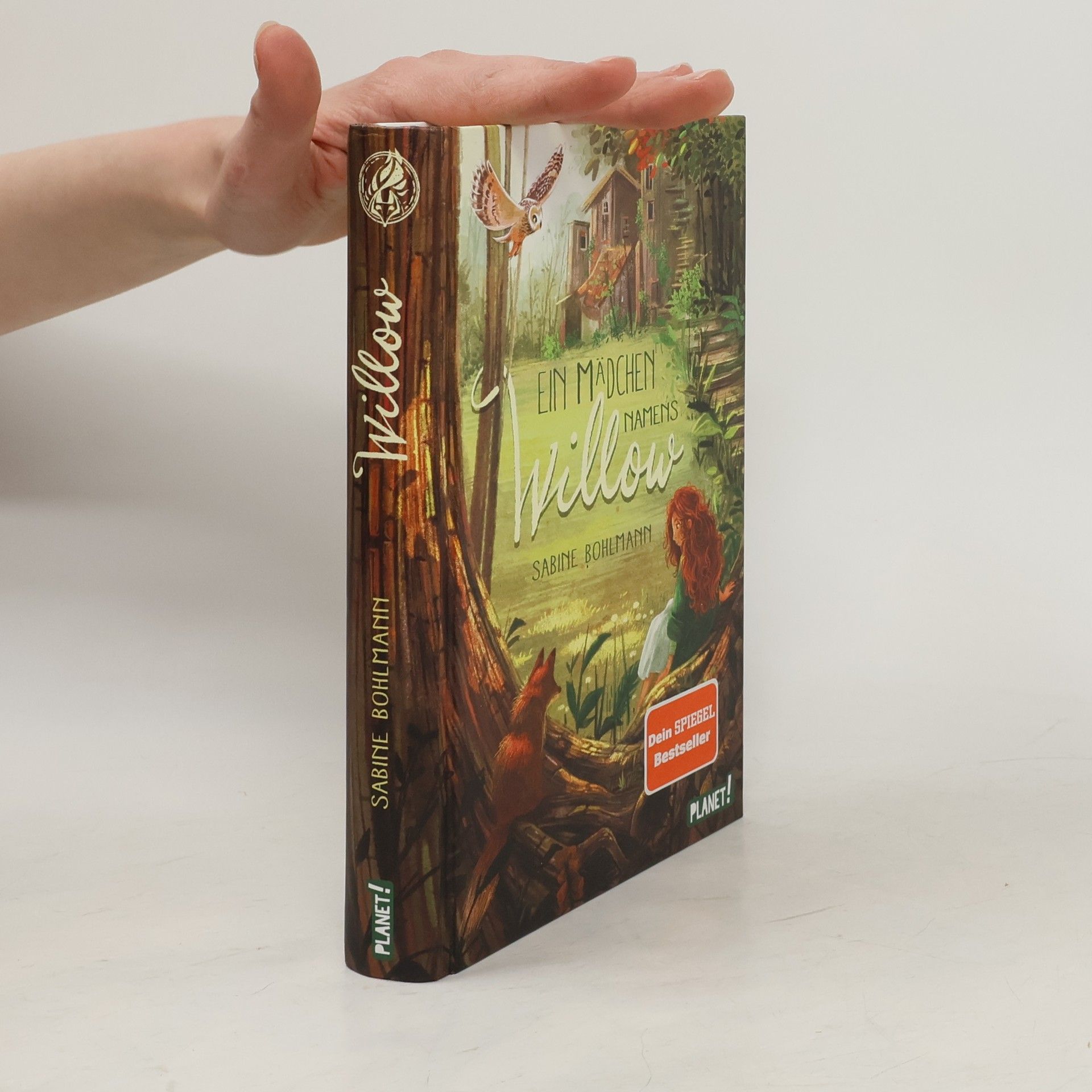 Sabine Bohlmann Ein Mädchen namens Willow