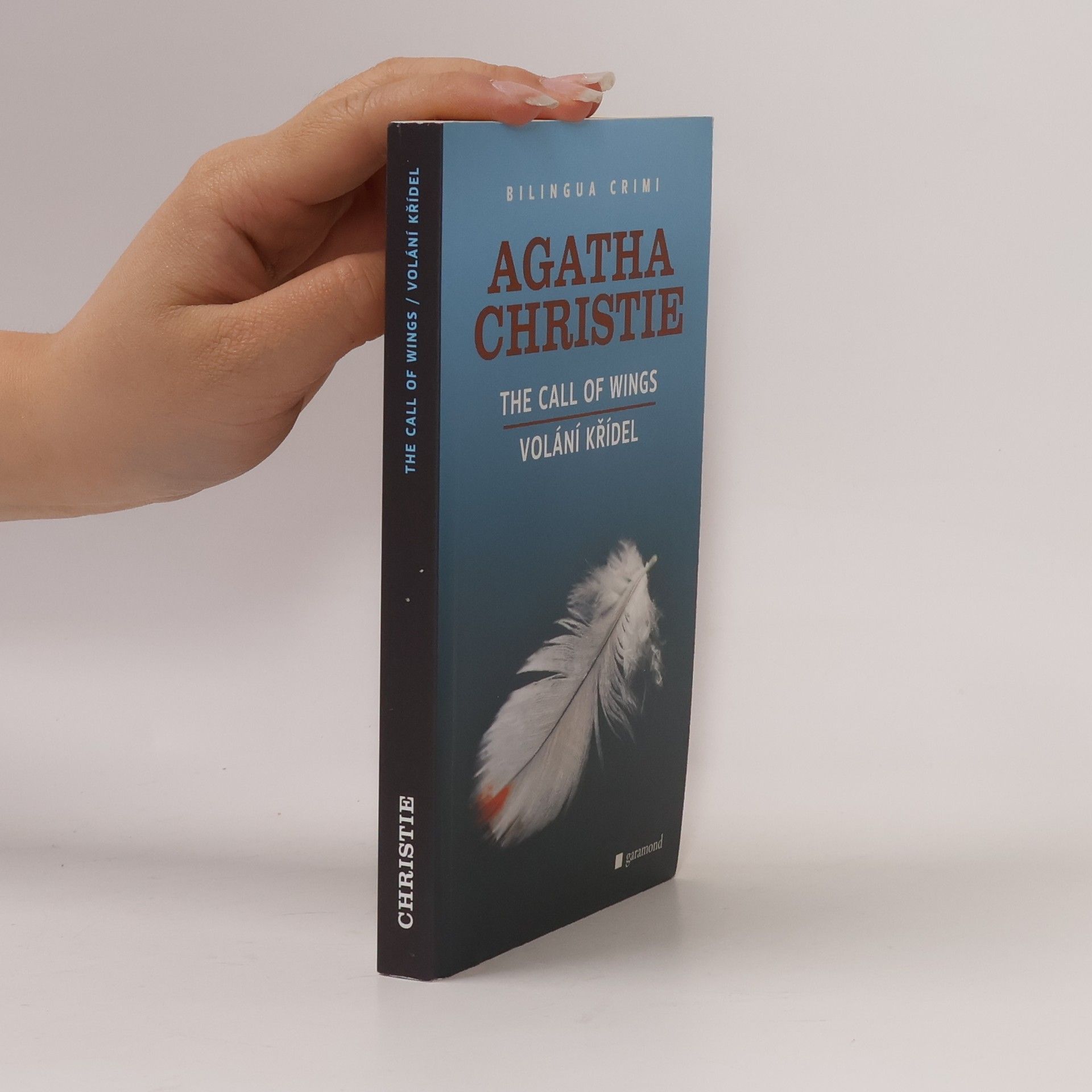 Lubomír Kotačka The Call of Wings = Volání křídel