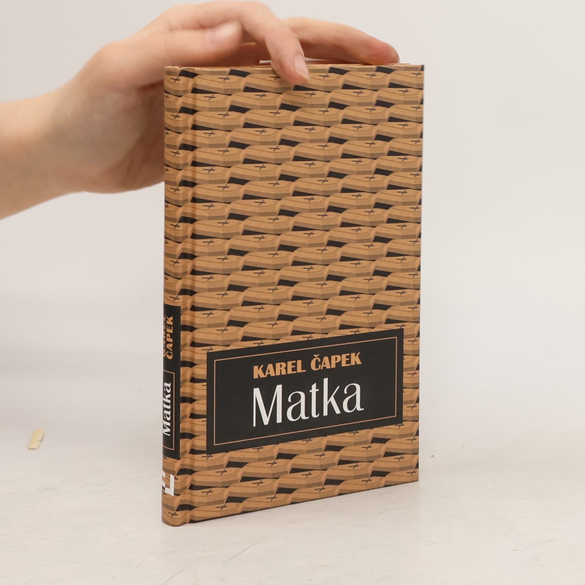 Karel Čapek Matka