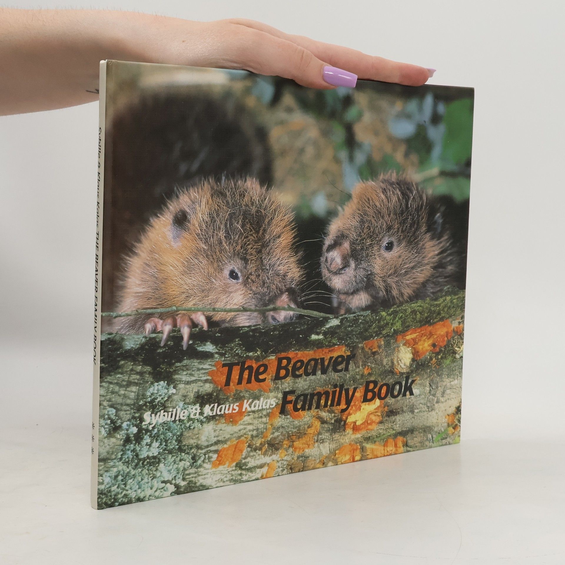 Beaver Family Book