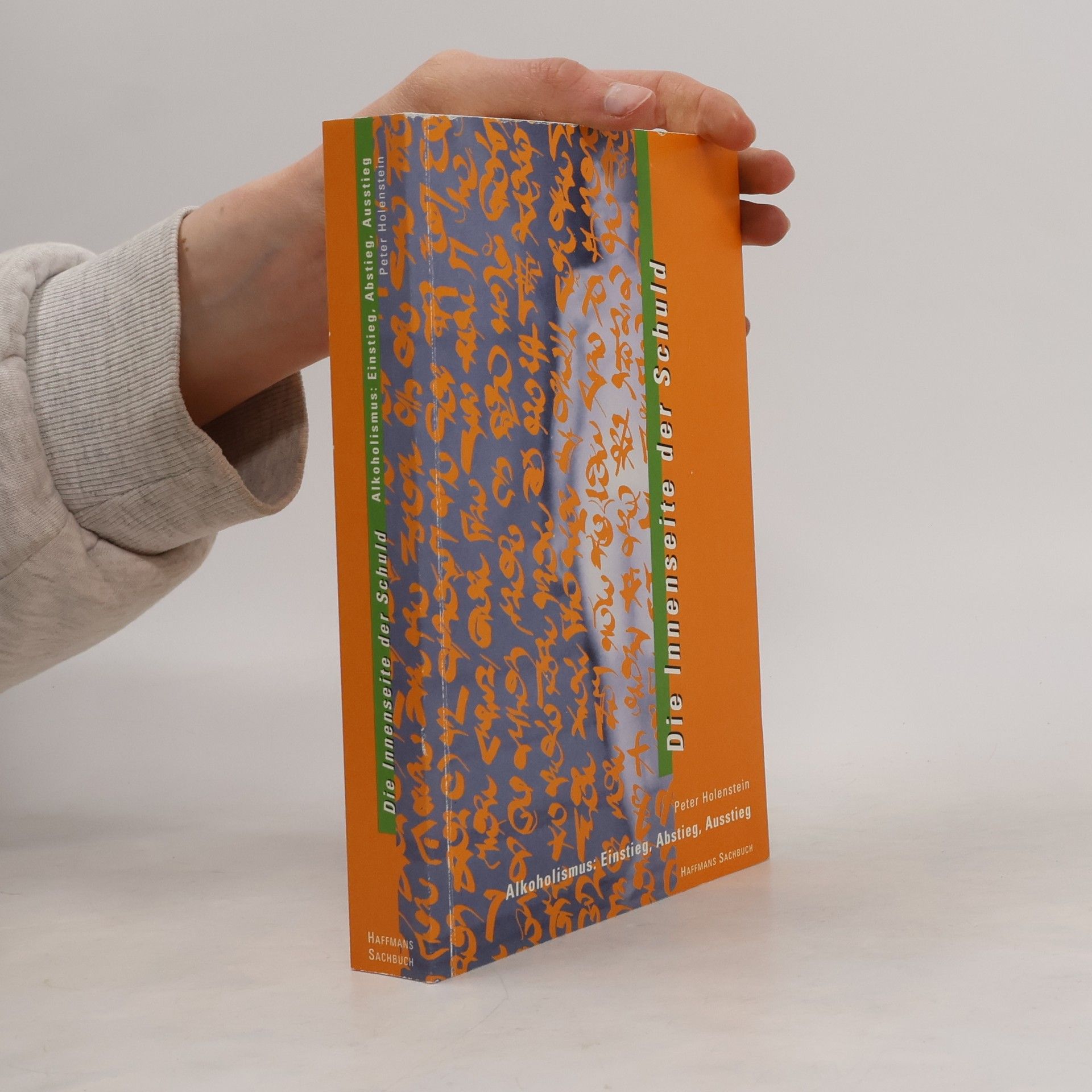 Anne Rüffer Die Innenseite der Schuld