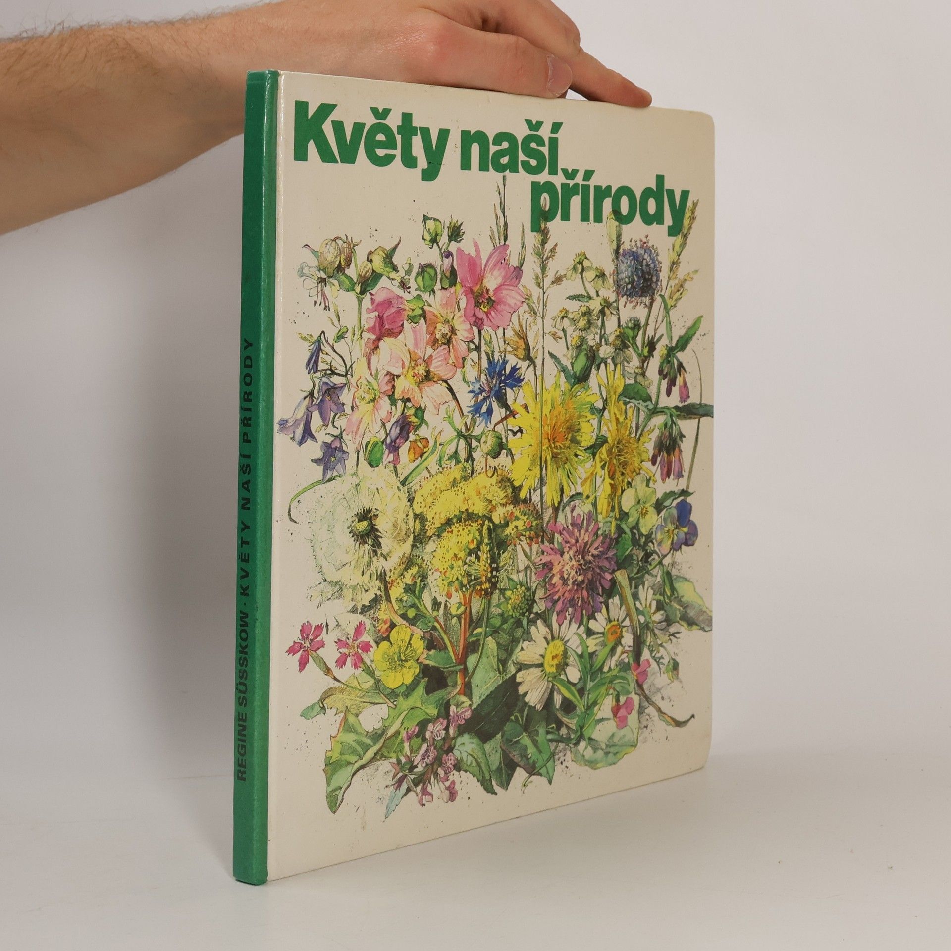 Regine Süsskow Květy naší přírody