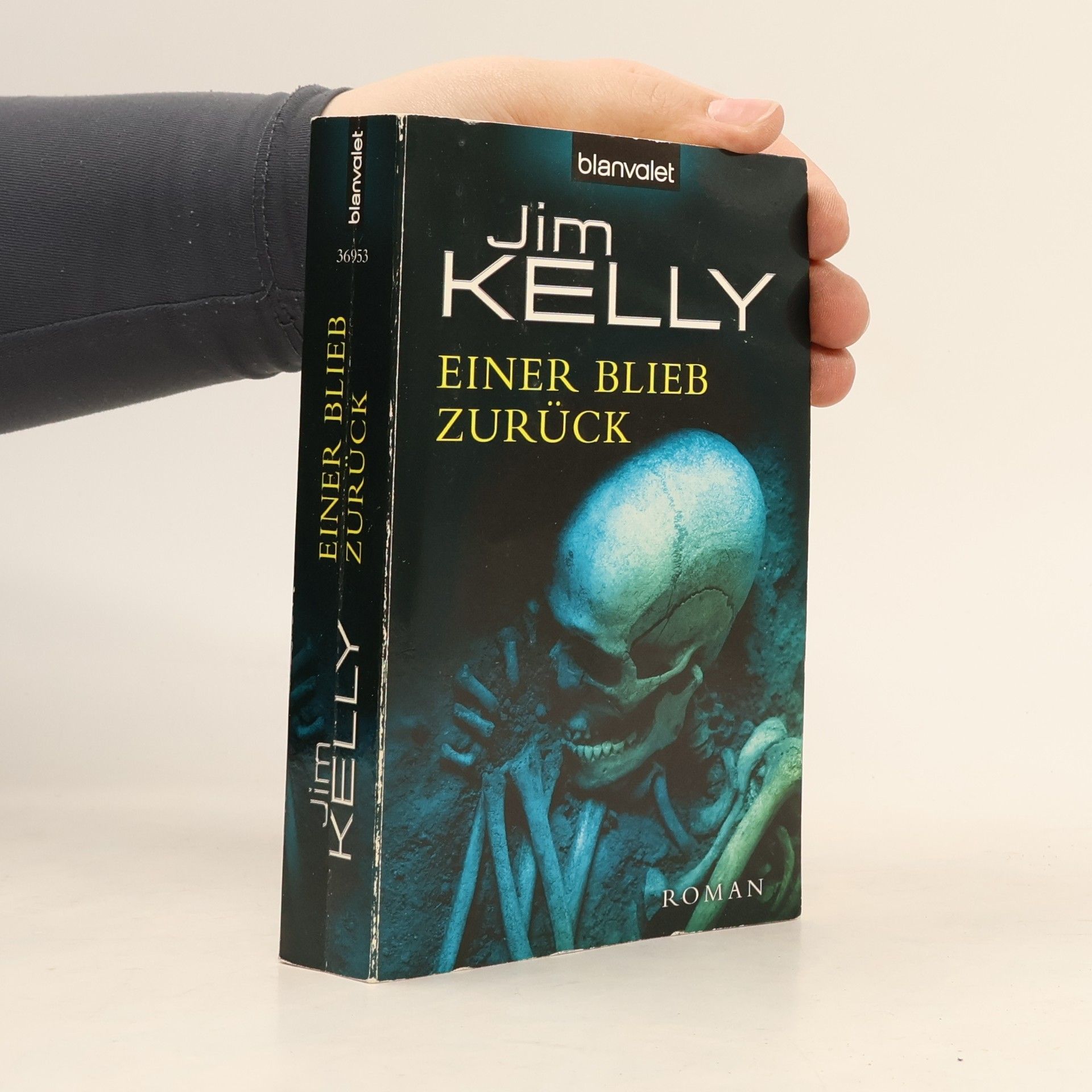 Carsten Mayer Einer blieb zurück. Roman