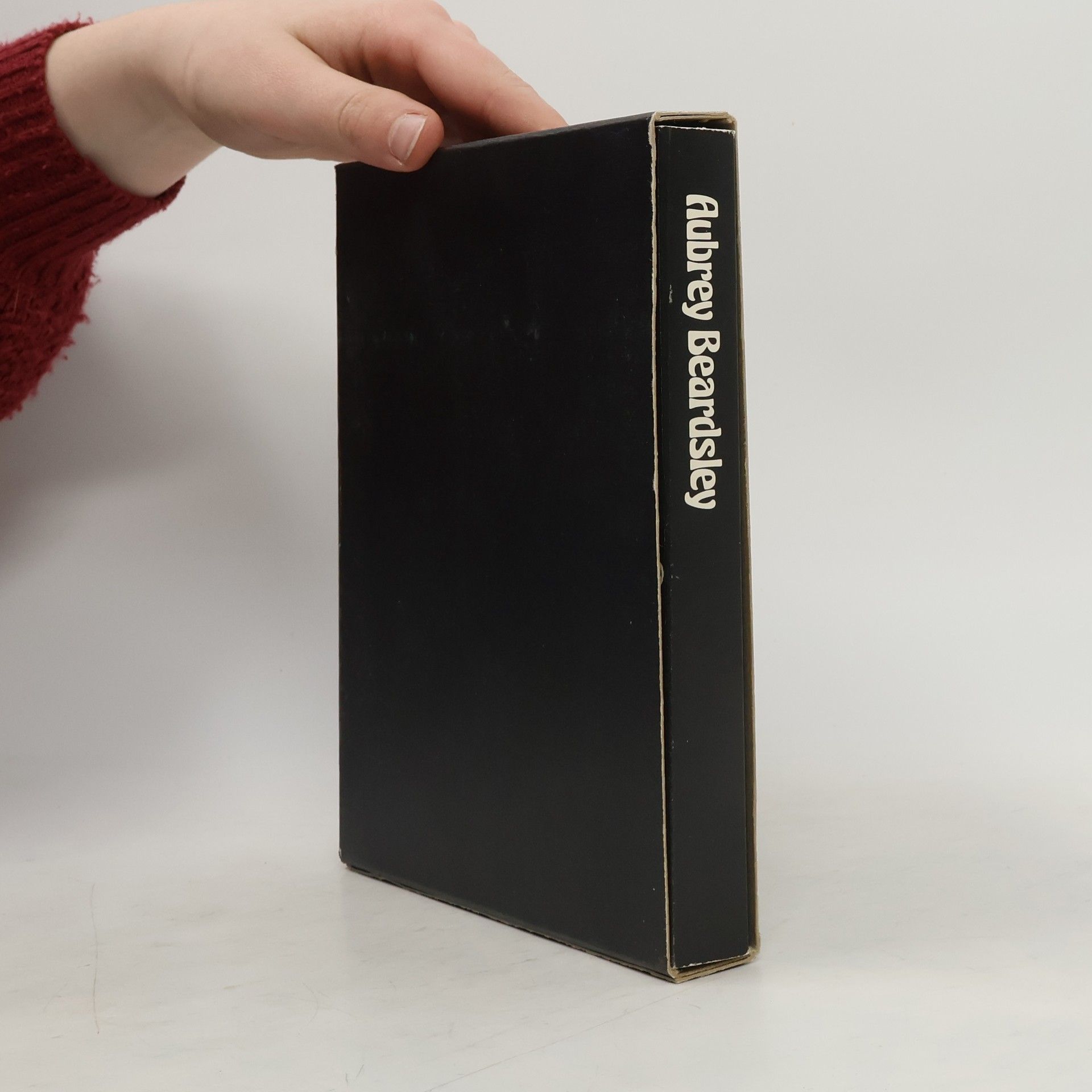 Kolektiv autorů Aubrey Beardsley