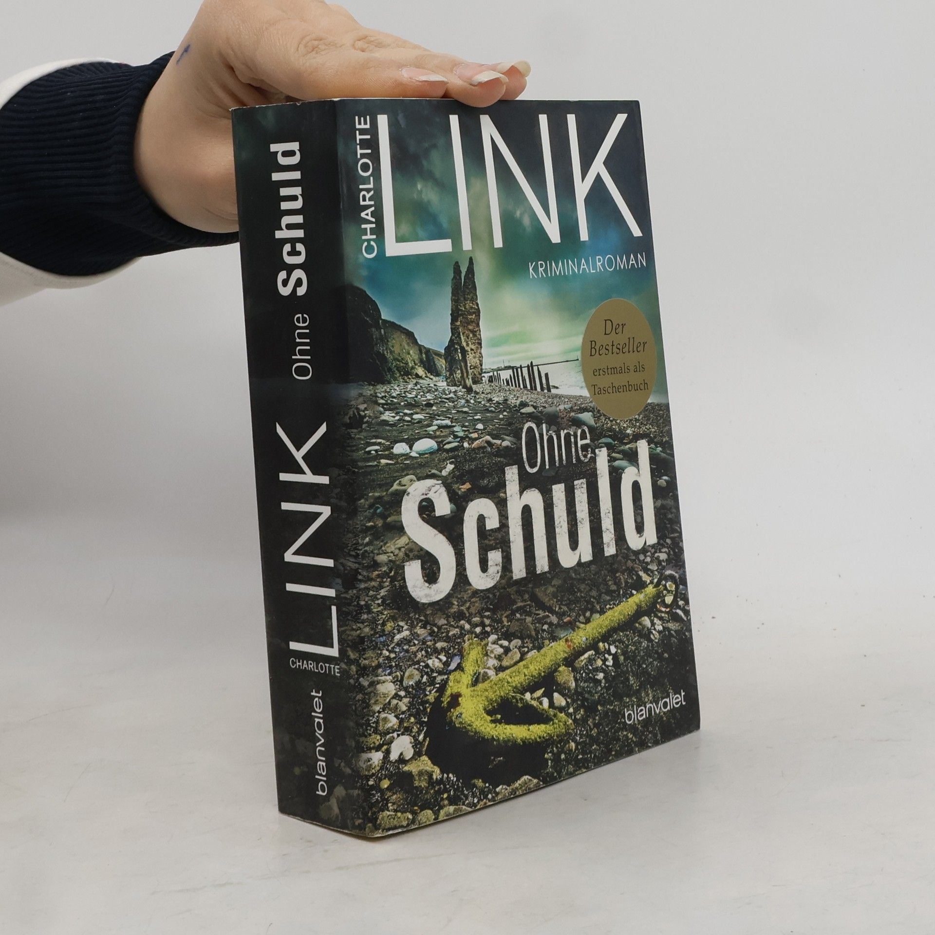 Charlotte Link Ohne Schuld