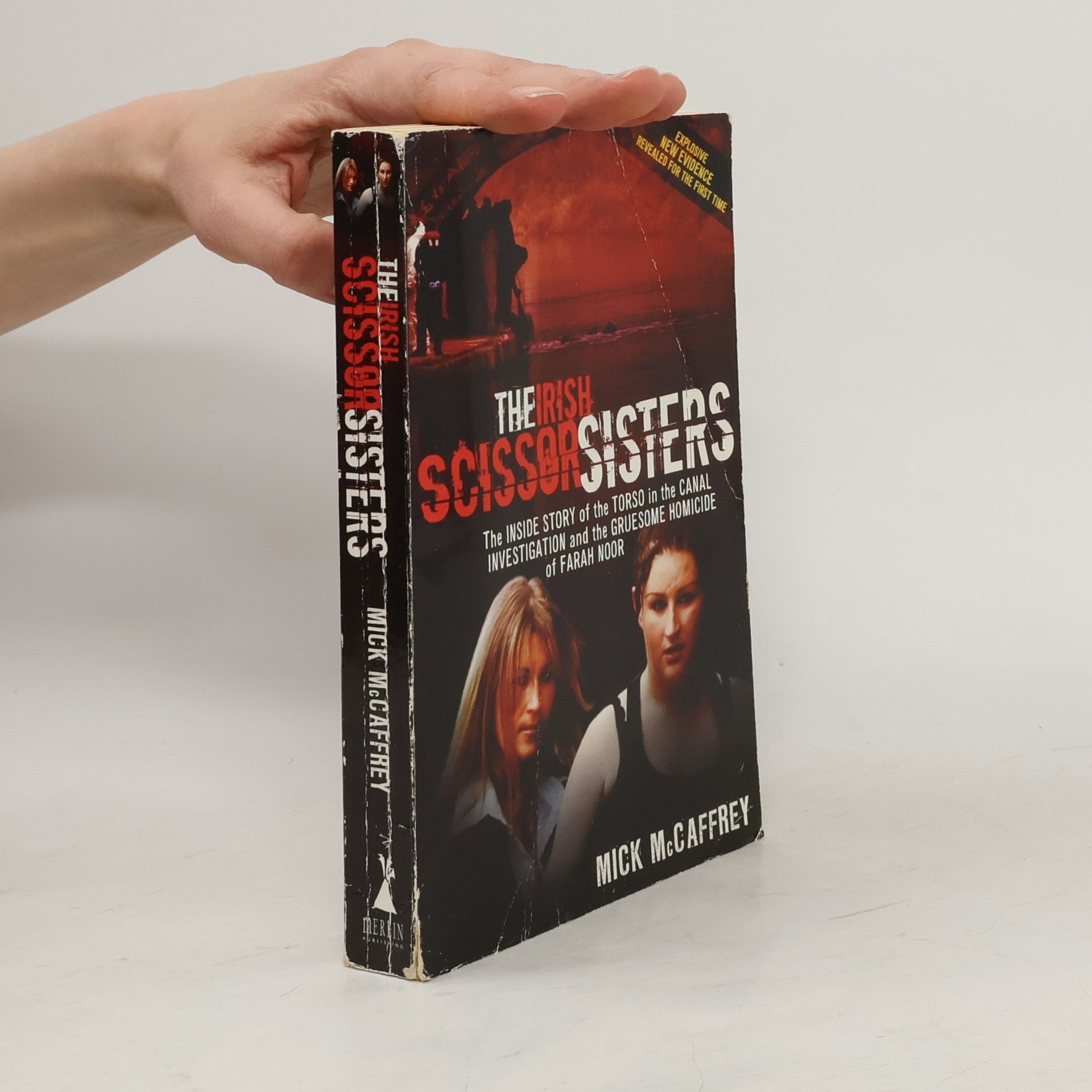 The Irish Scissor Sisters