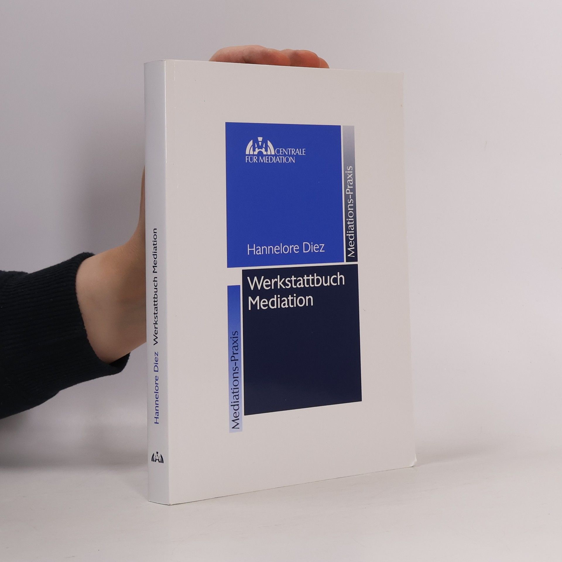 Hannelore Diez Werkstattbuch Mediation