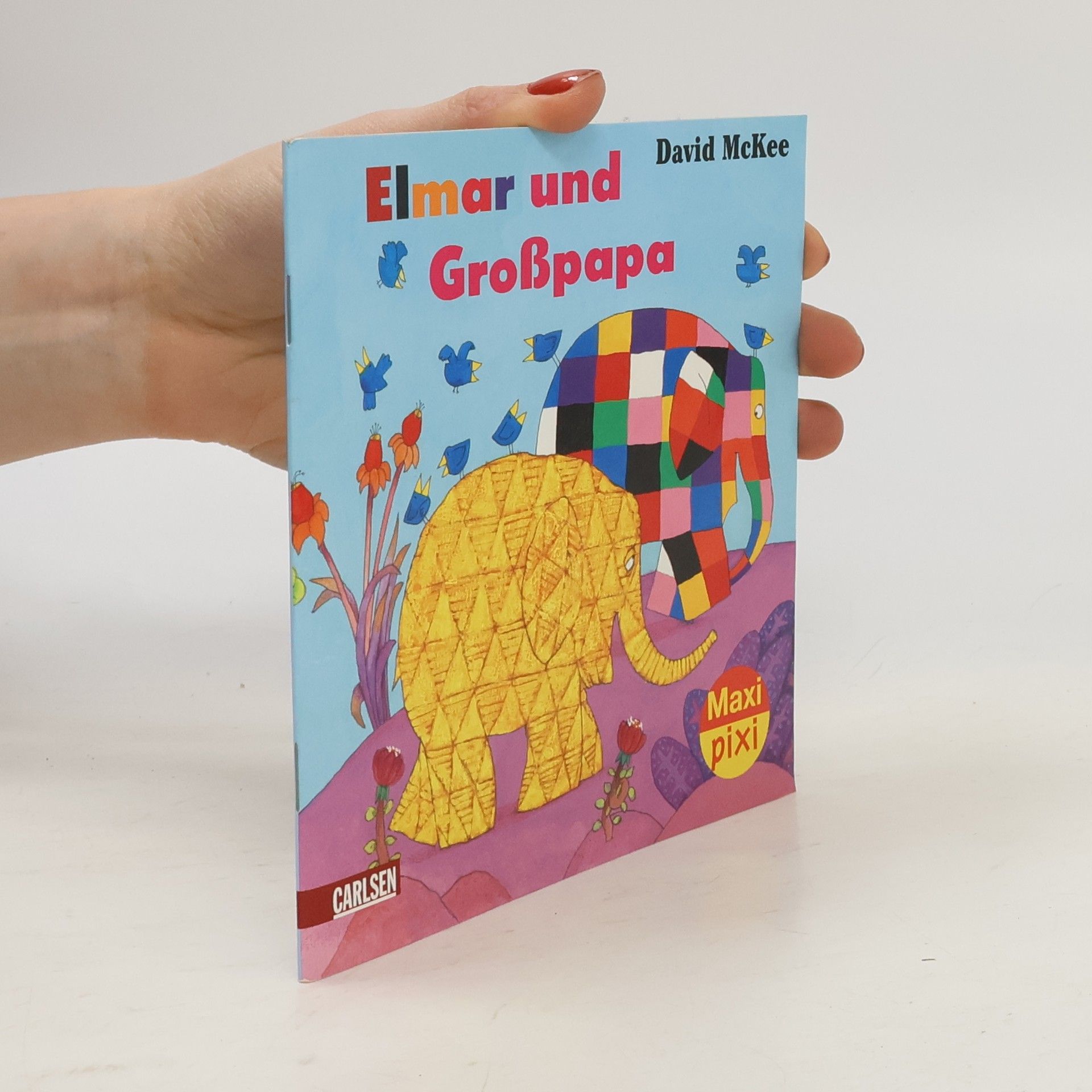 Maxi-Pixi - 22: Elmar und Großpapa