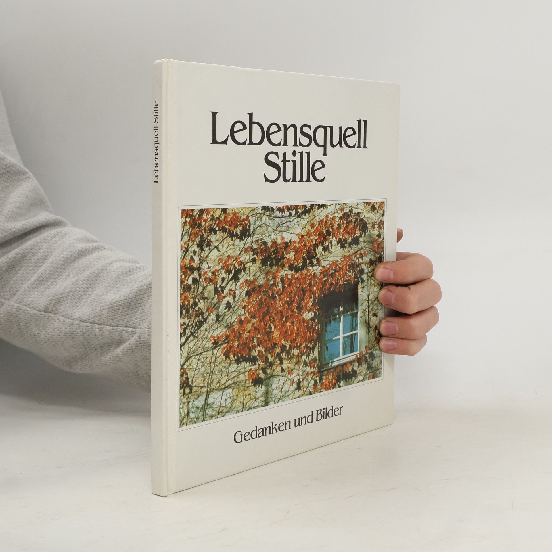 Janos Selmeczi Toth Lebensquell Stille