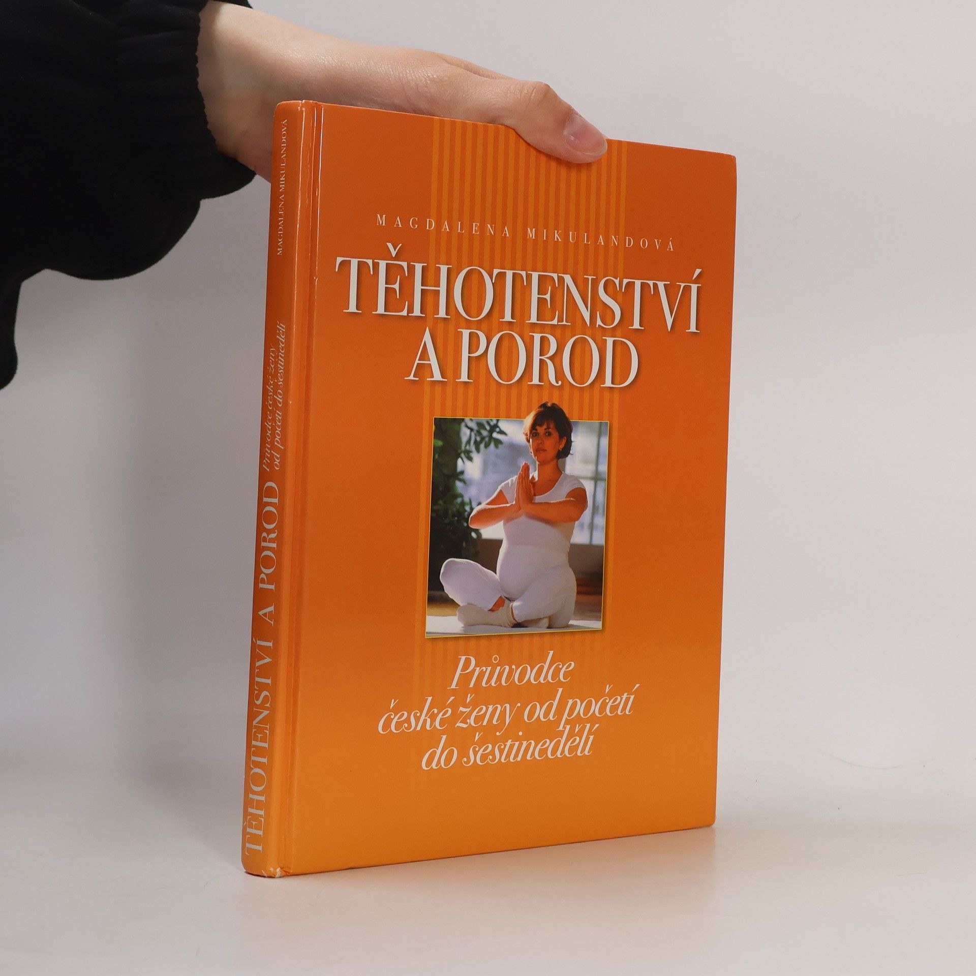 Magdalena Mikulandová Těhotenství a porod. Průvodce české ženy od početí do šestinedělí