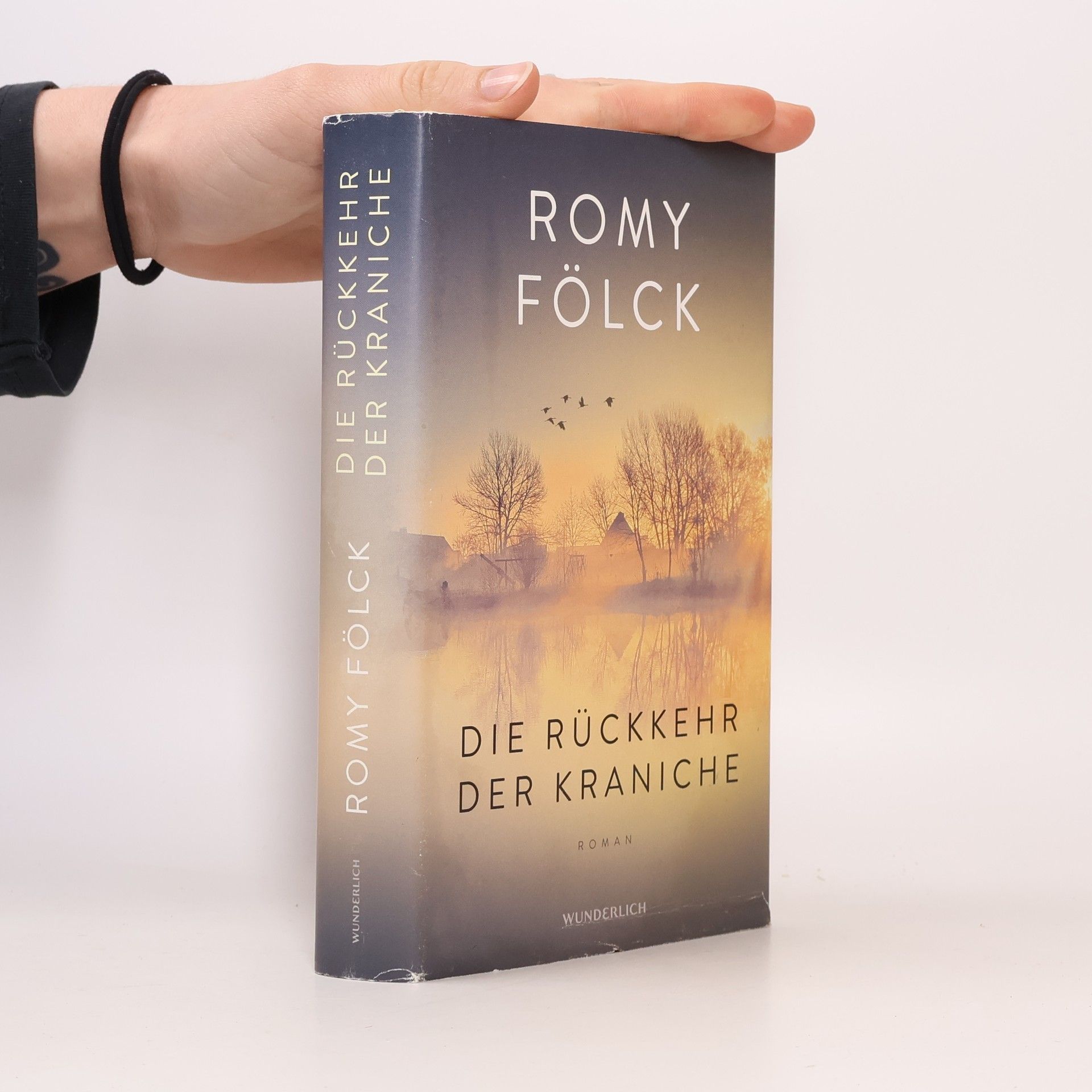 Romy Fölck Die Rückkehr der Kraniche