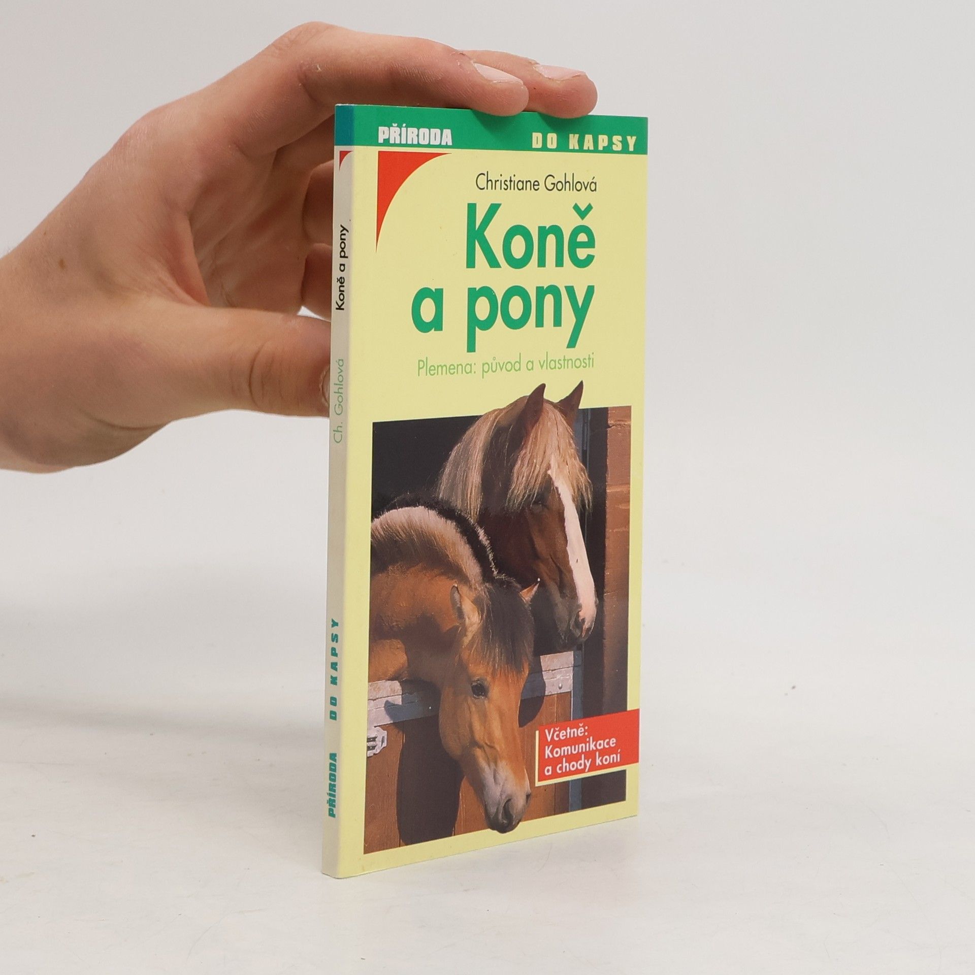 Christiane Gohl Koně a pony