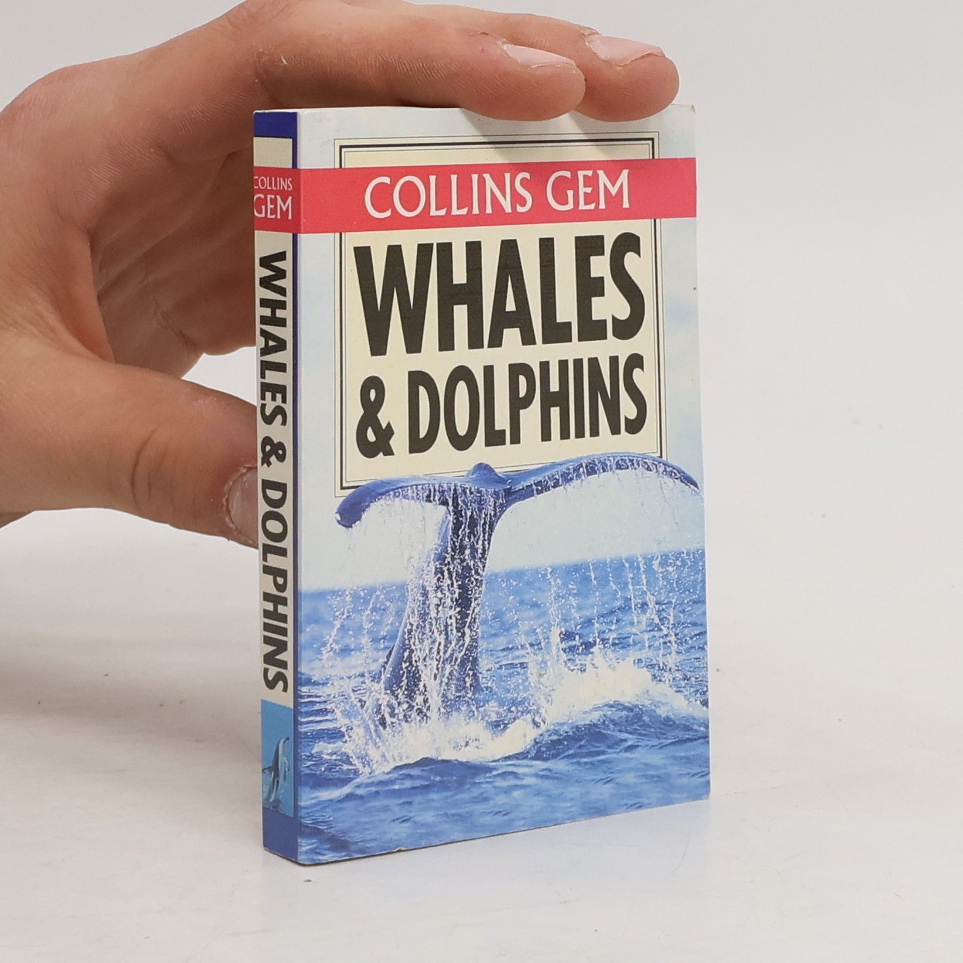 Collins Gem: Whales & Dolphins