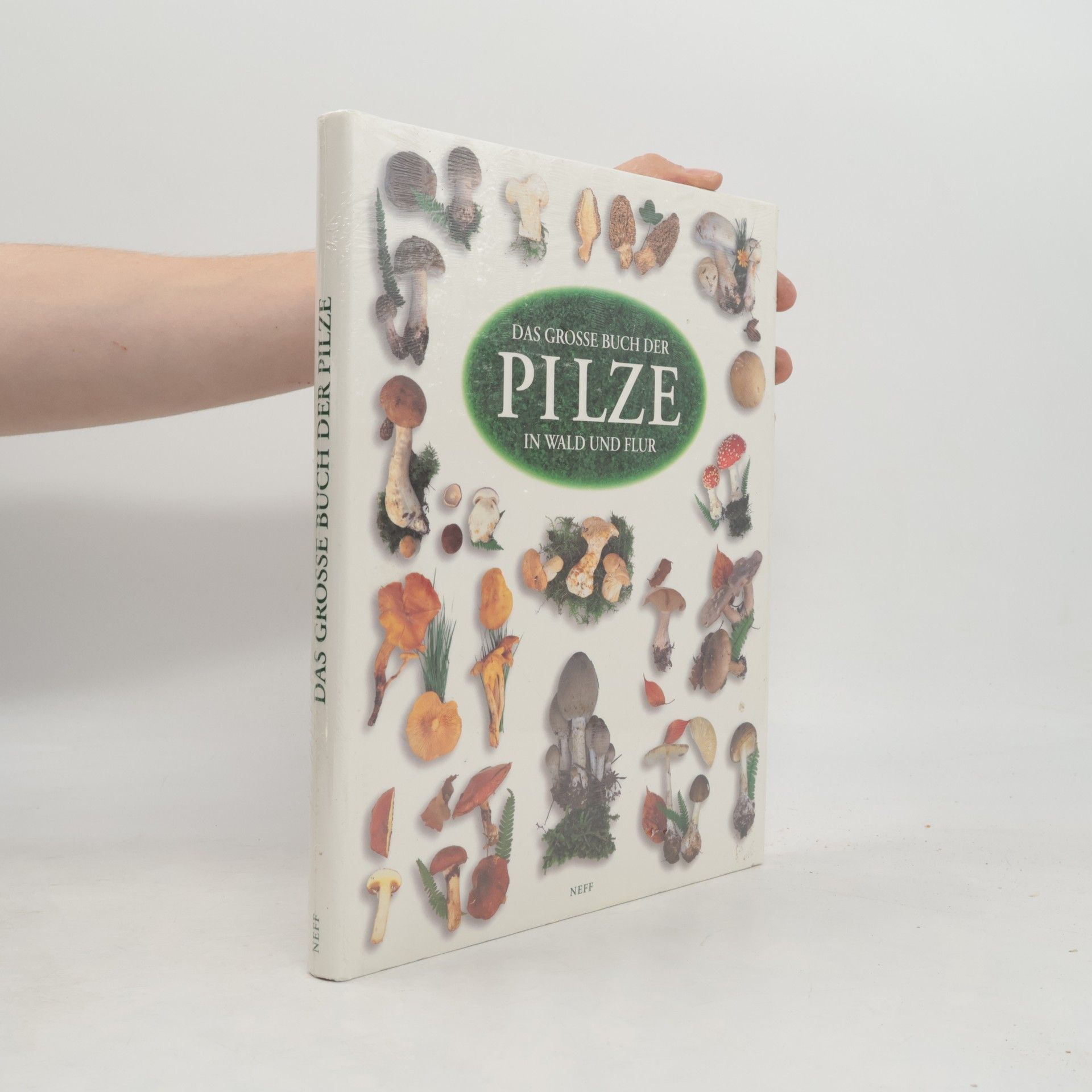Gérard Houdou Das große Buch der Pilze in Wald und Flur