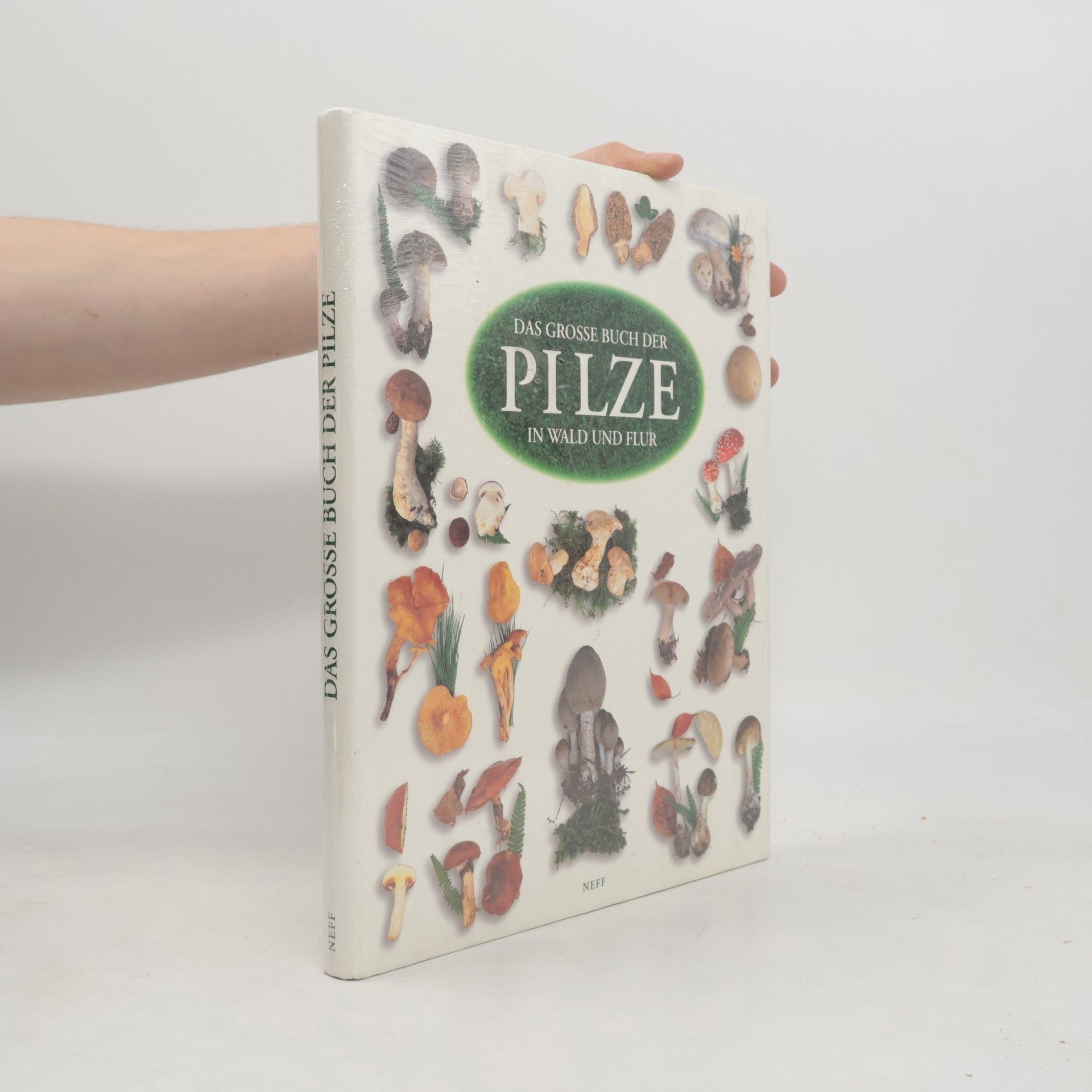 Gérard Houdou Das große Buch der Pilze in Wald und Flur