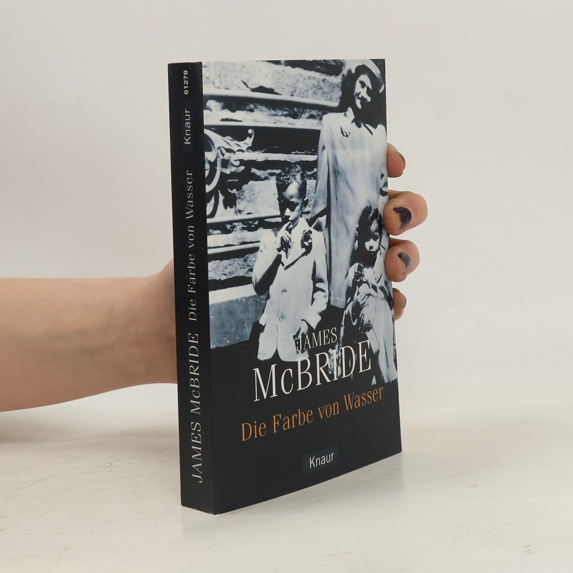 James McBride Die Farbe von Wasser