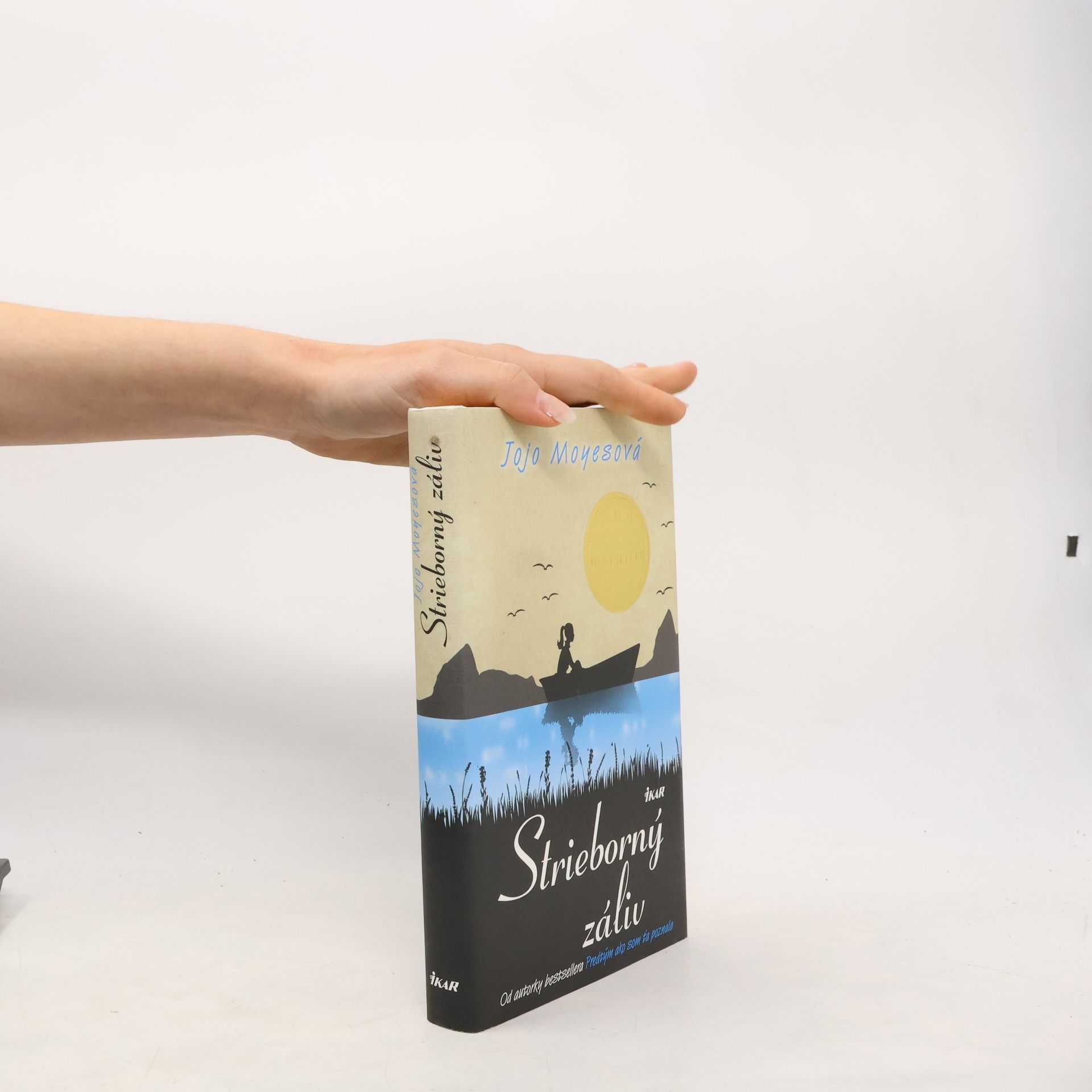 Jojo Moyes Strieborný záliv