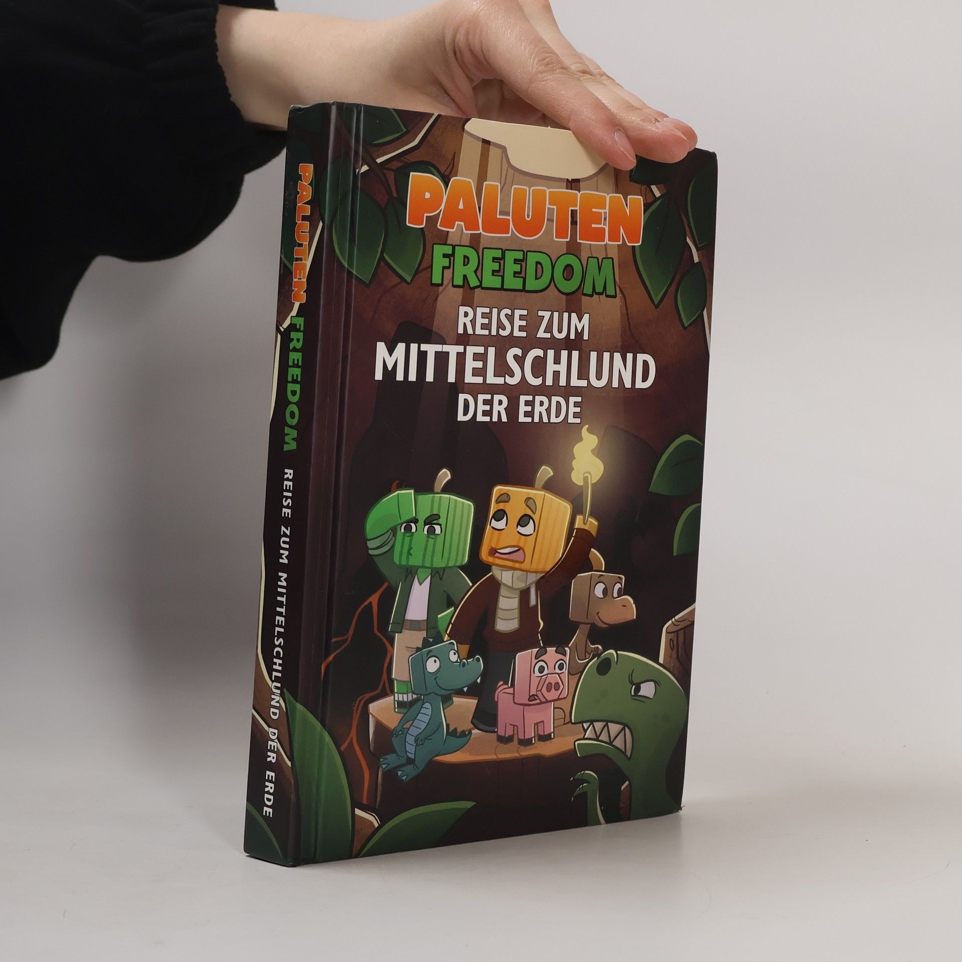 Klaas Kern Reise zum Mittelschlund der Erde