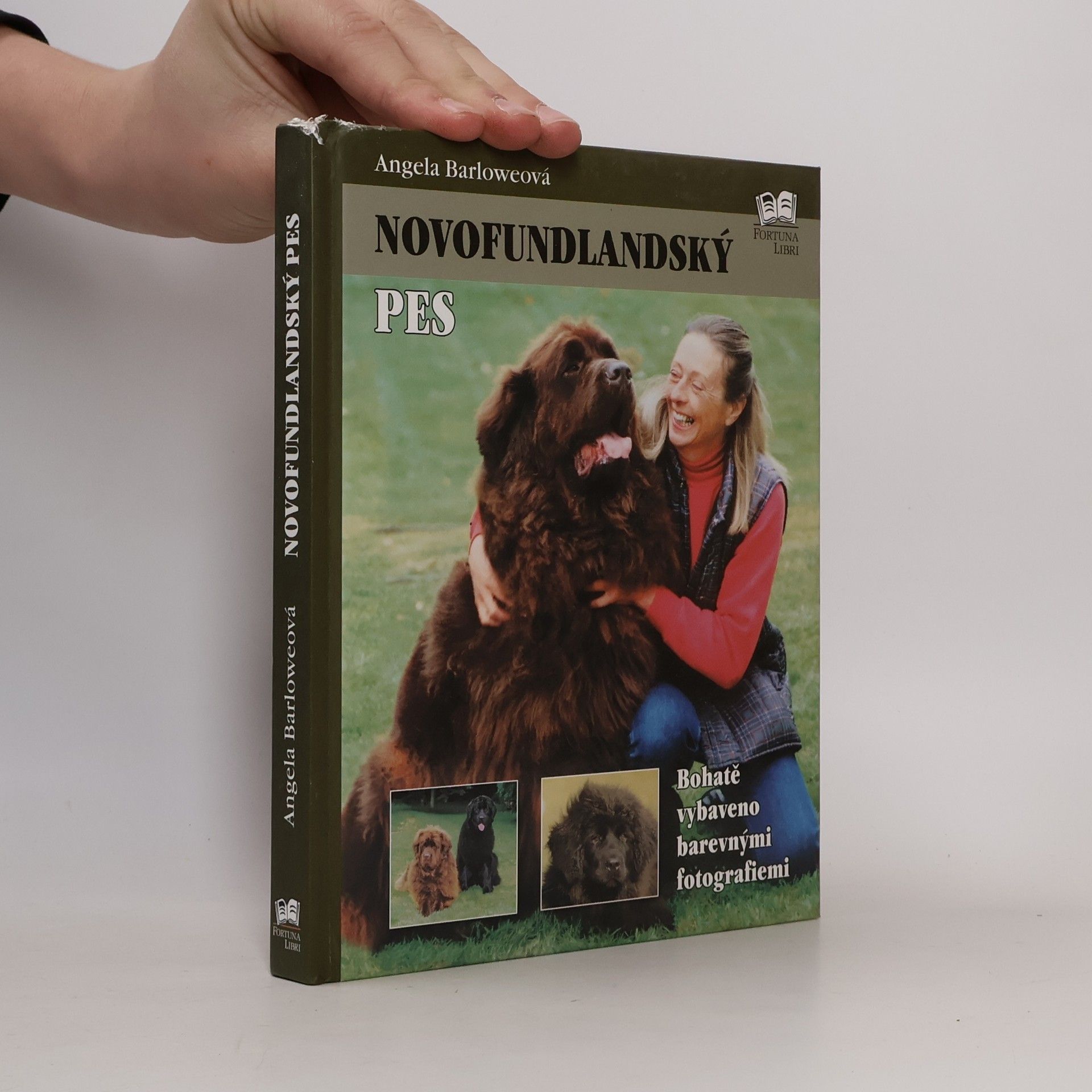 Angela Barlowe Novofundlandský pes