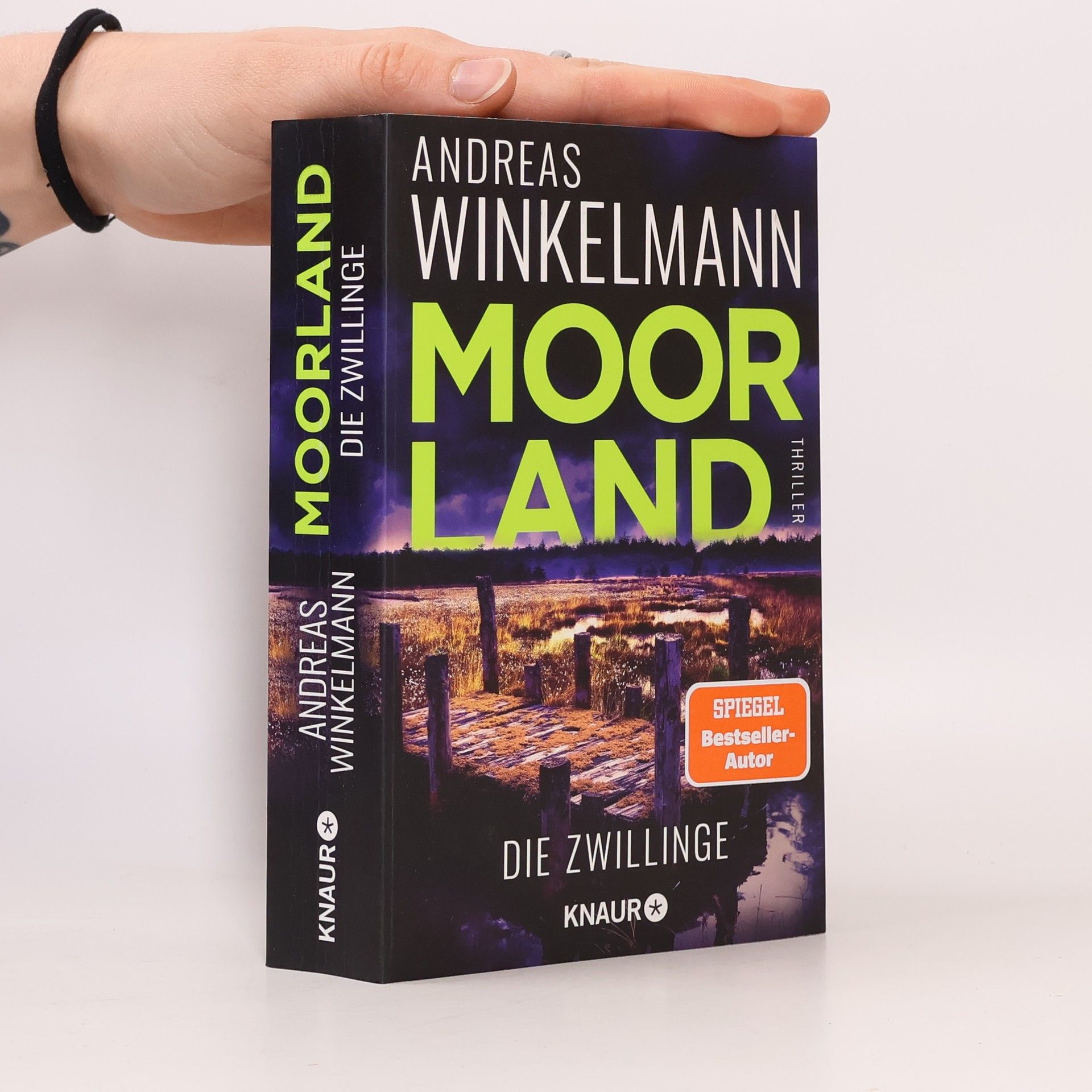 Hendrik Winter Moorland. Die Zwillinge