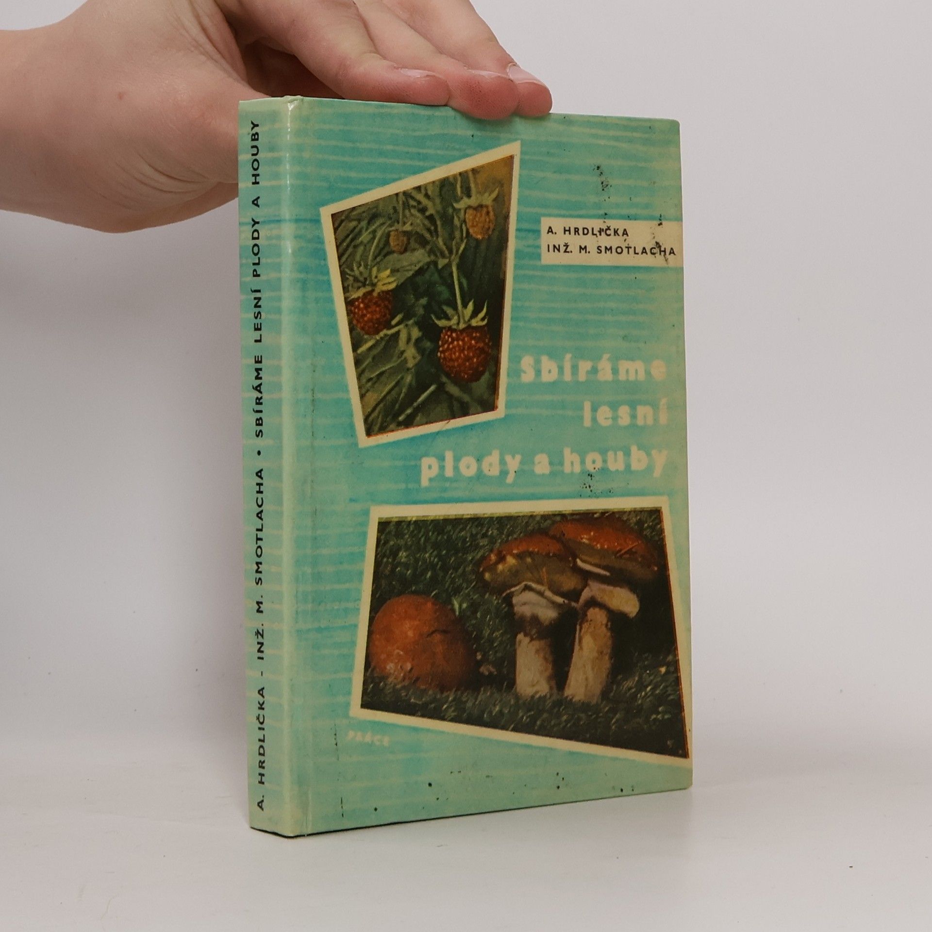 Antonín Hrdlička Sbíráme lesní plody a houby