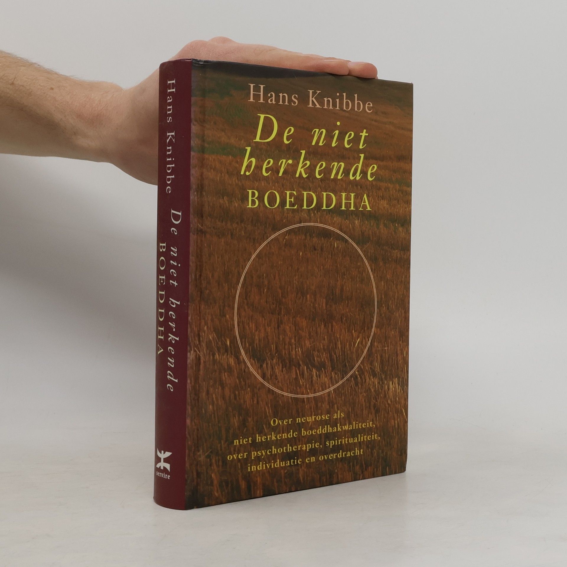 Hans Knibbe De niet-herkende boeddha